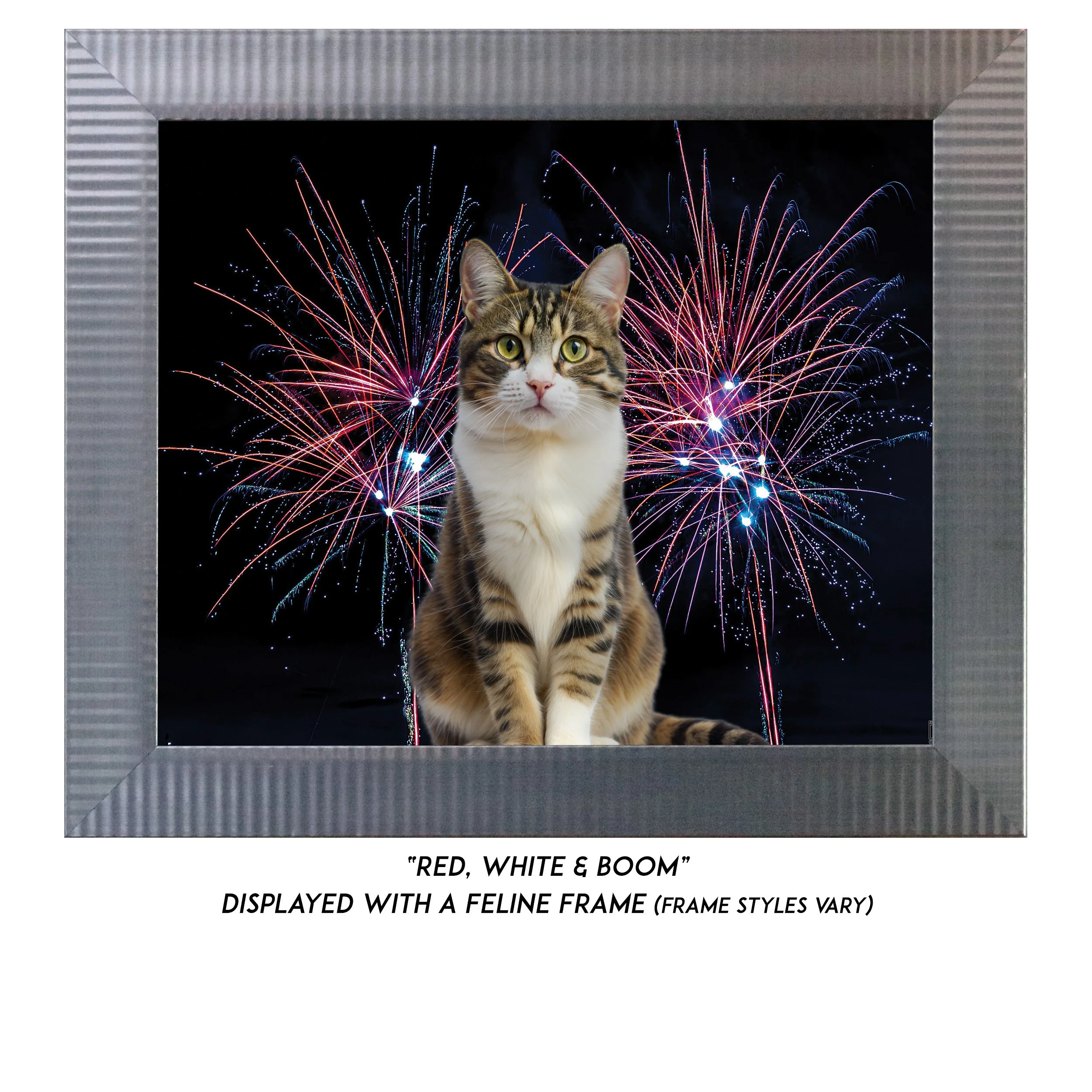 Red-White-and-Boom-CAT.jpg