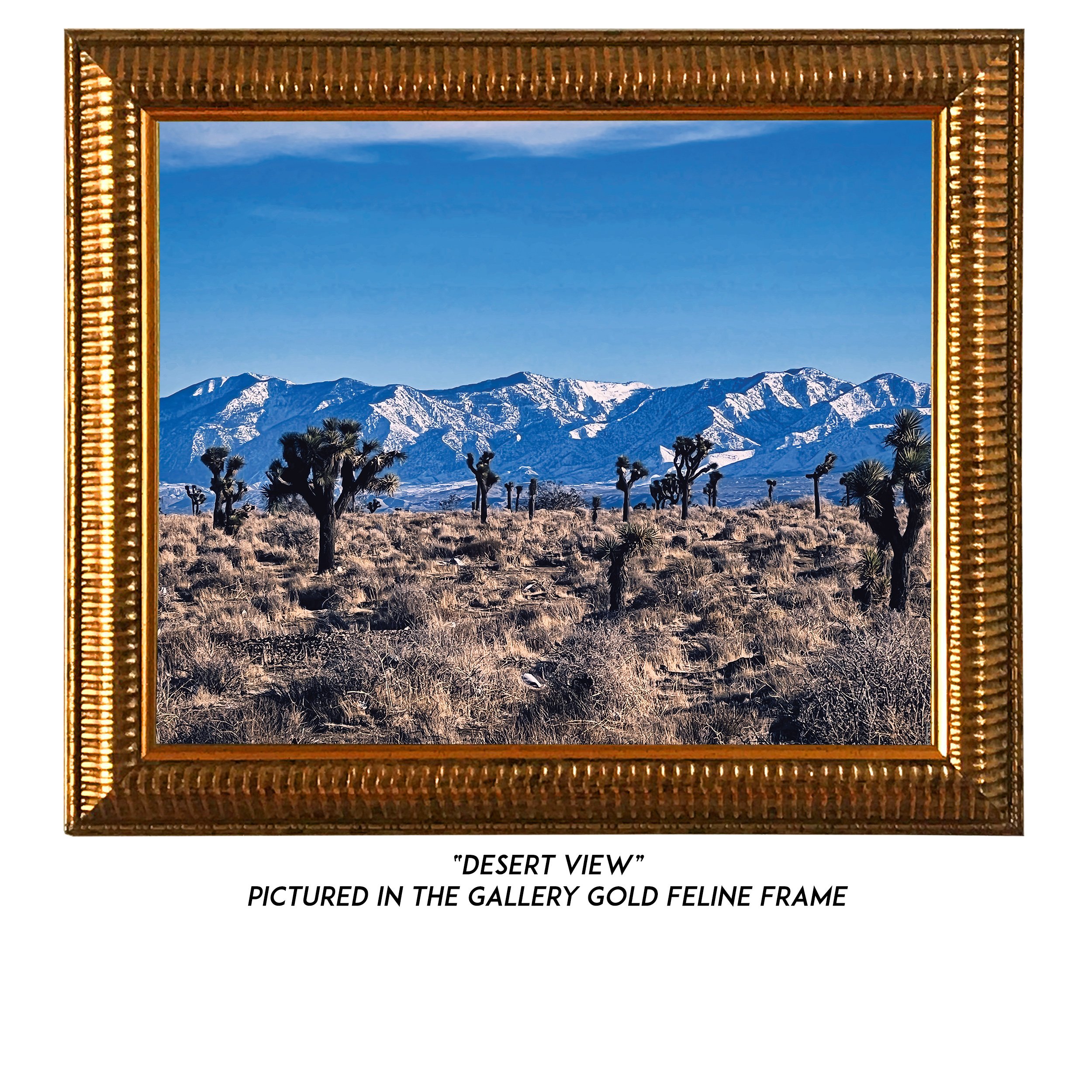 Desert-View-G.jpg