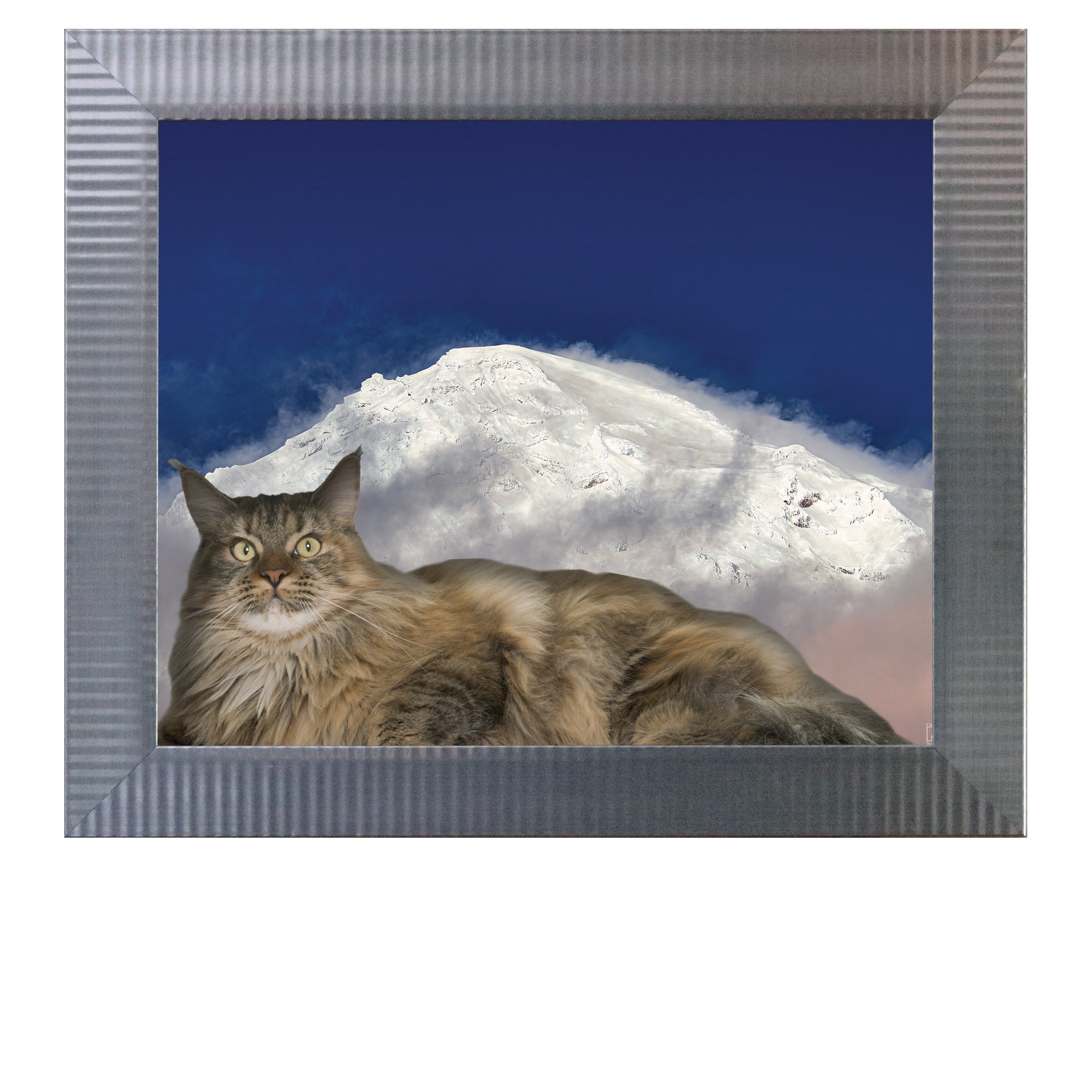Snow-Peak-CAT.jpg