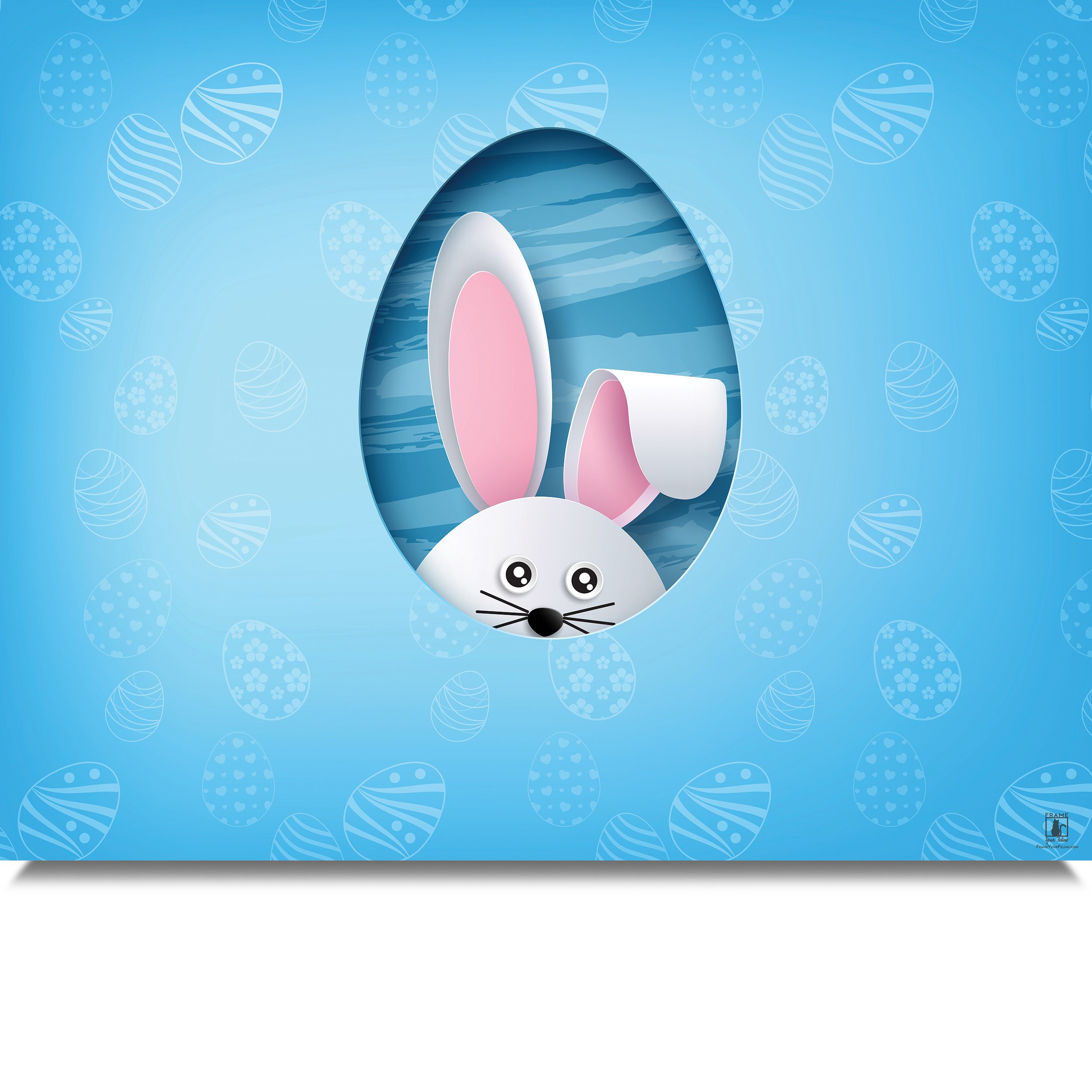 Bunny-Lookout-MB.jpg