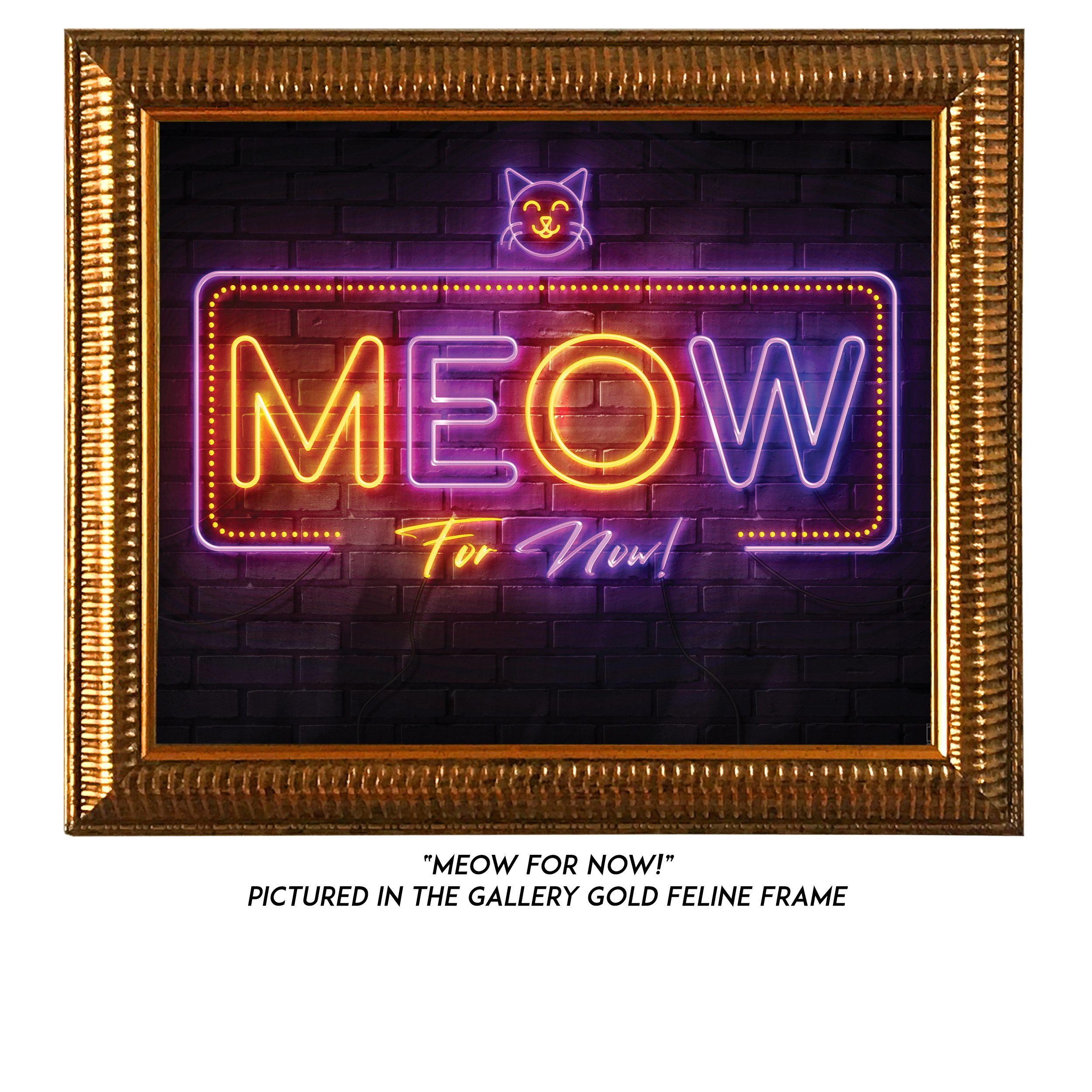 Meow-For-Now-G.jpg