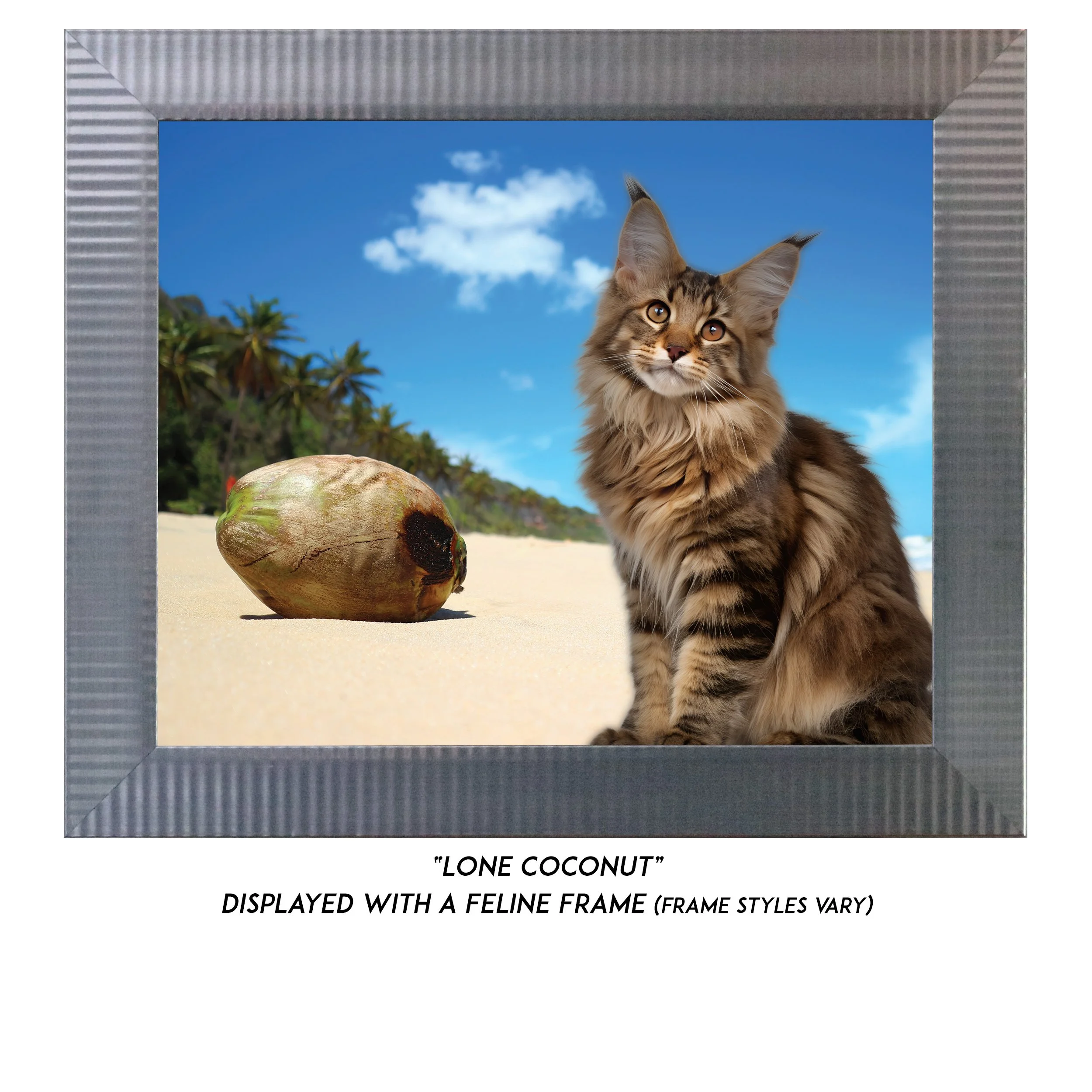 Lone-Coconut-CAT.jpg