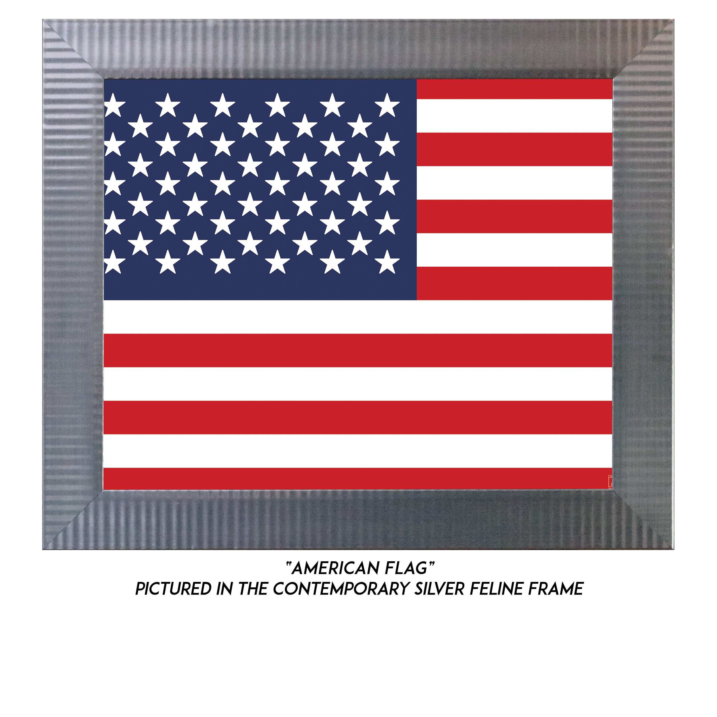 American-Flag-S.jpg