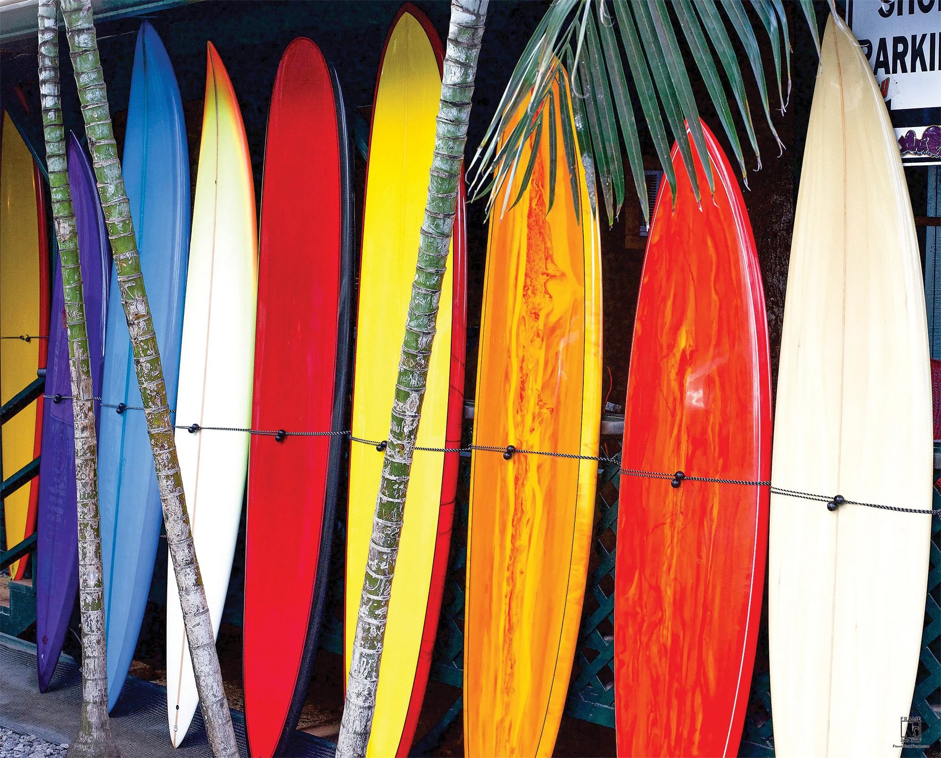"Surf Candy" | Photography by Chelsey Horne