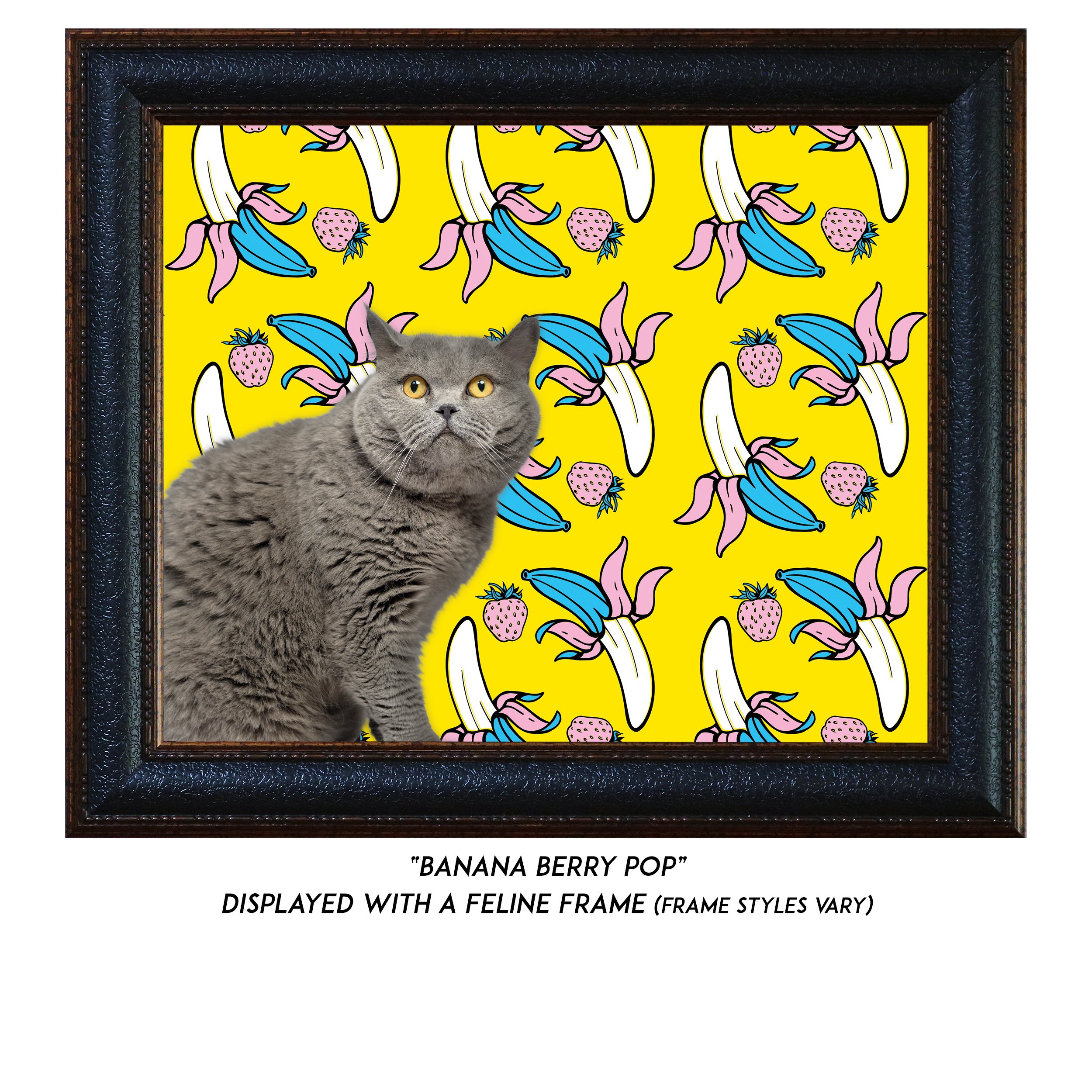 Banana-Berry-Pop-CAT.jpg