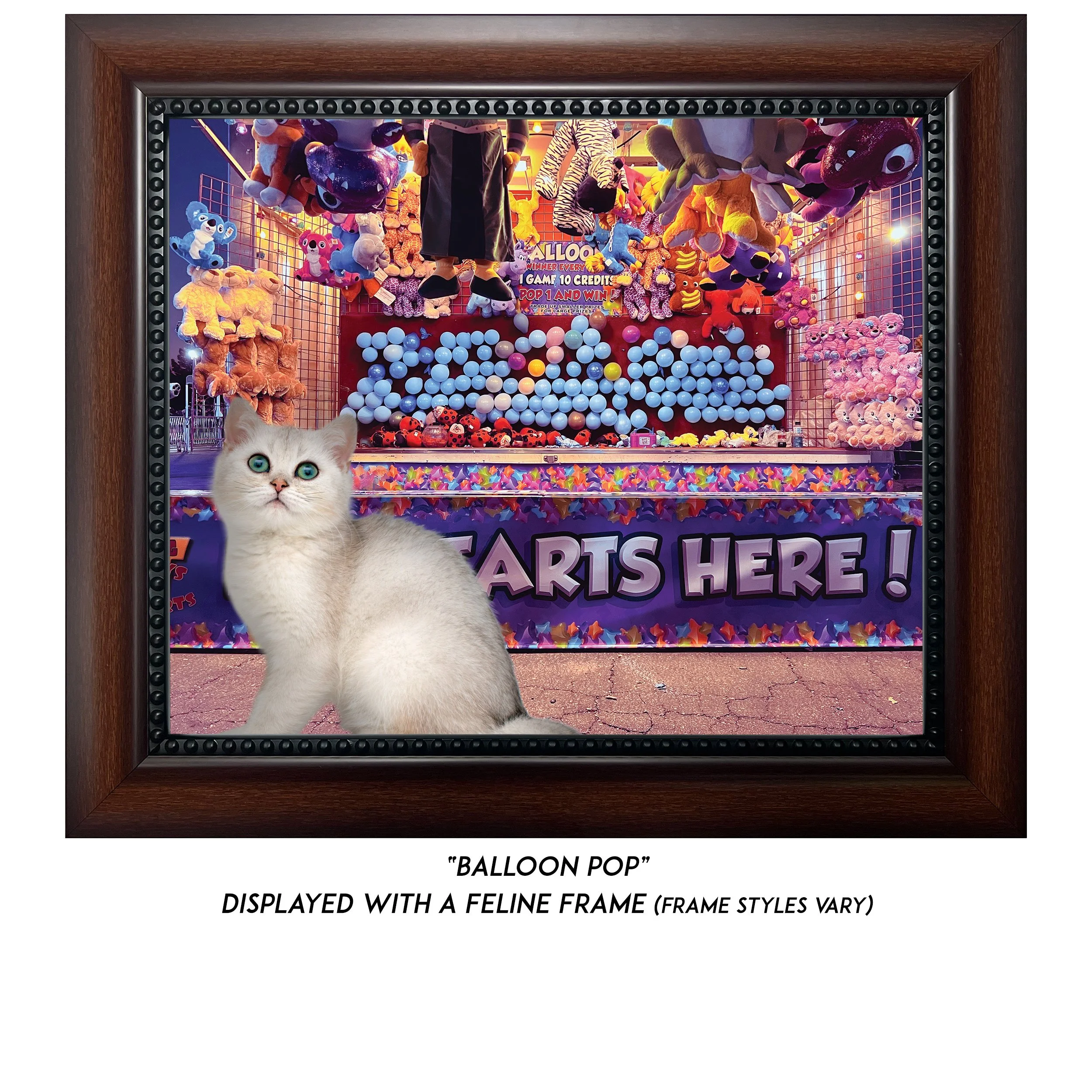 Balloon-Pop-CAT.jpg