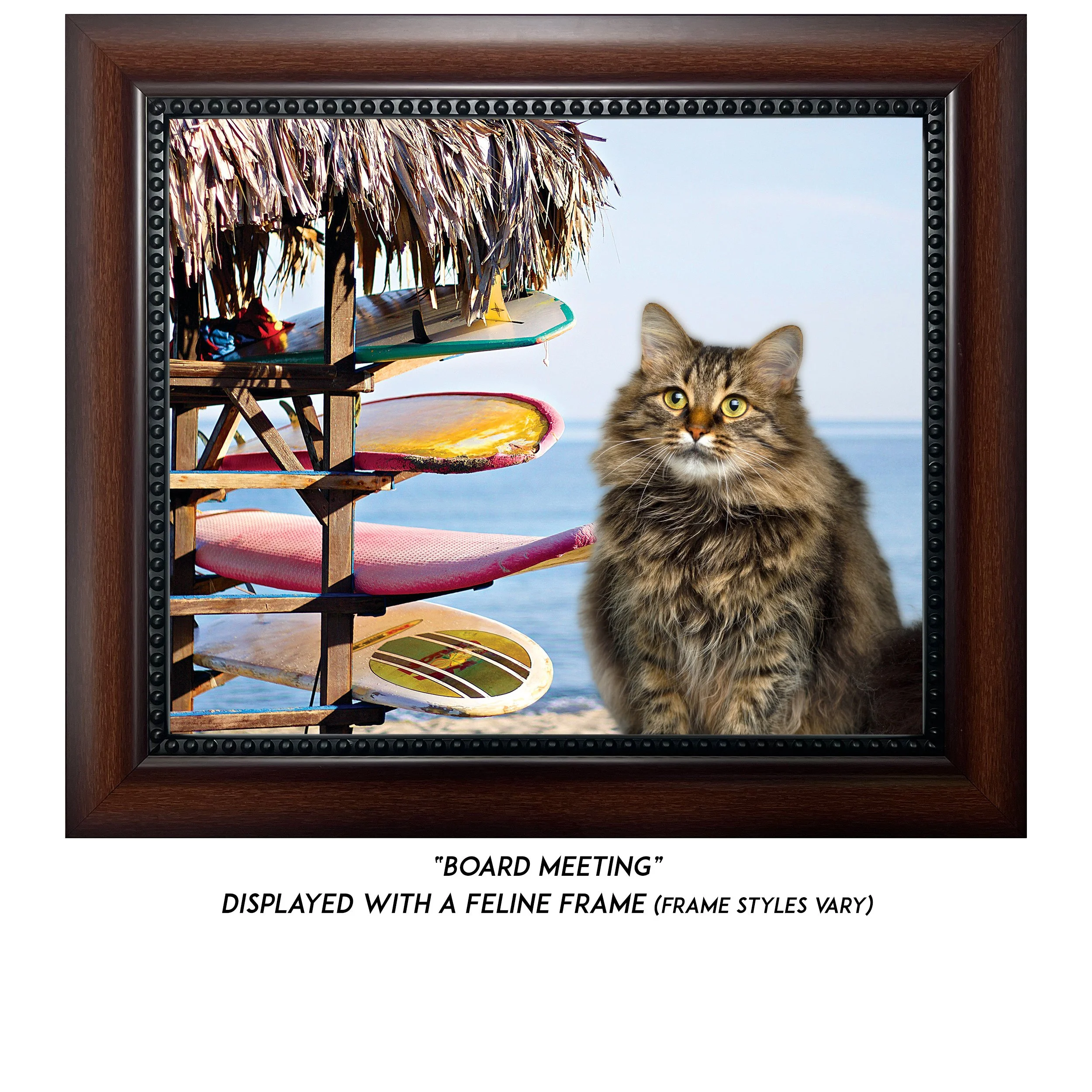 Board-Meeting-CAT.jpg