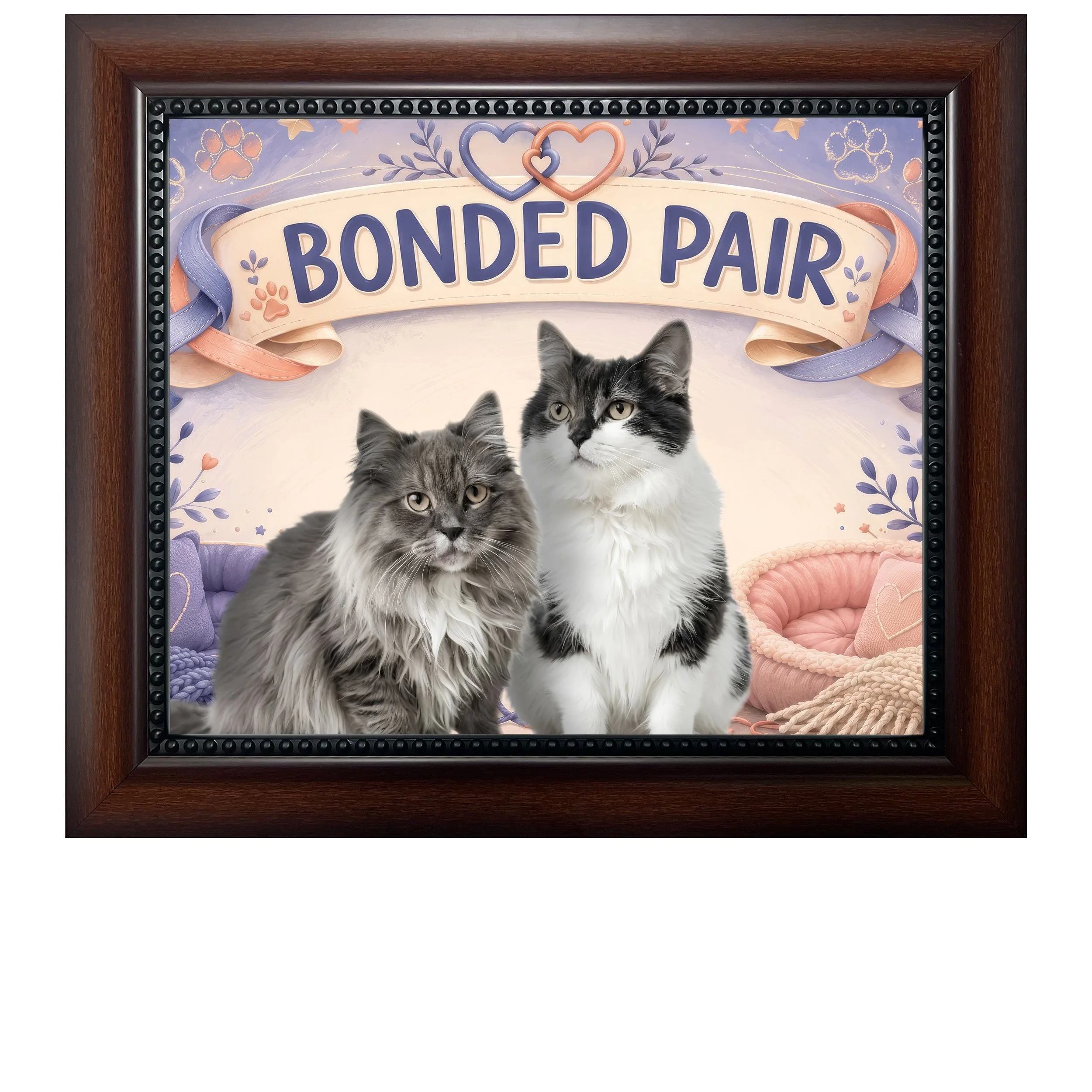 Bonded-Pair-CAT.jpg