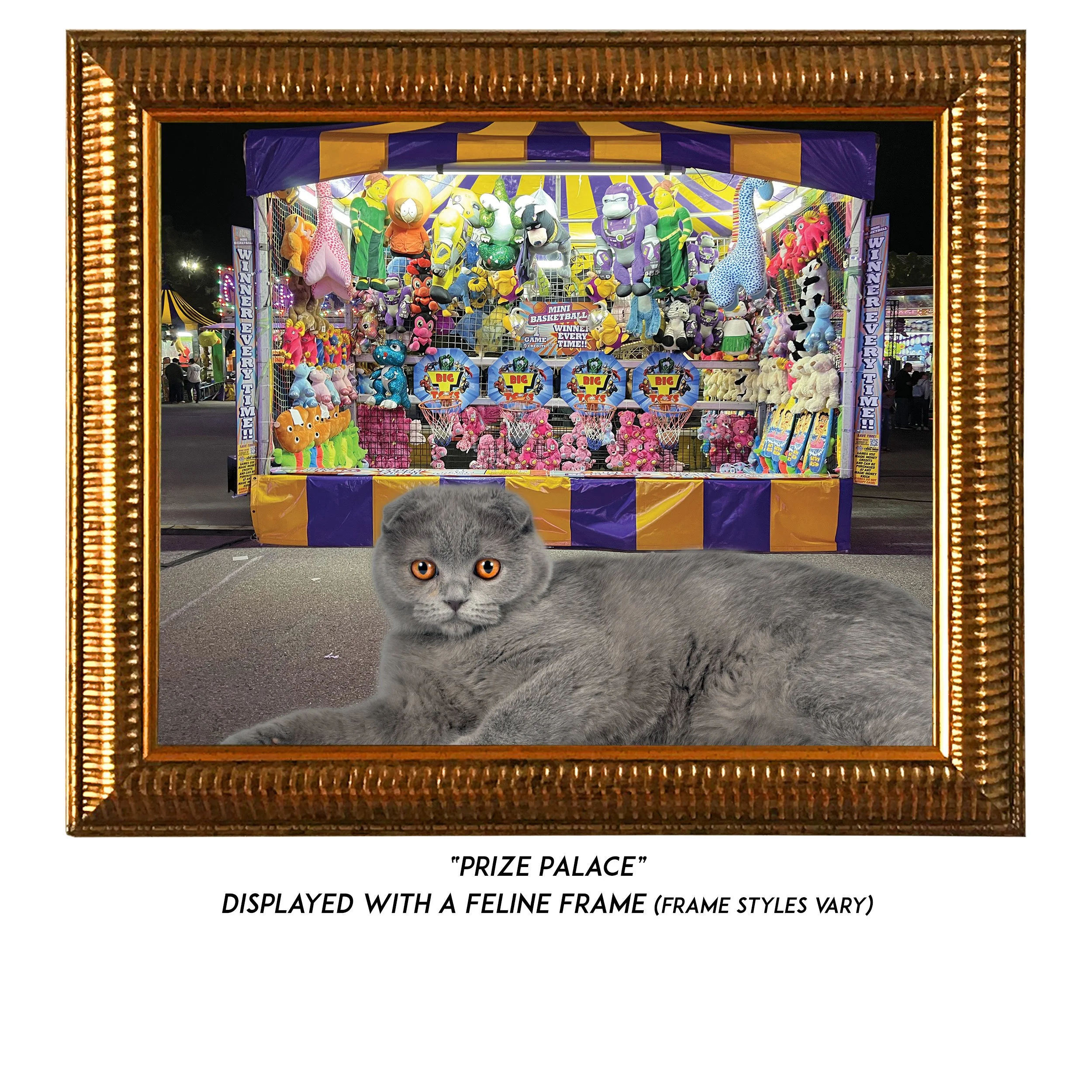 Prize-Palace-CAT.jpg
