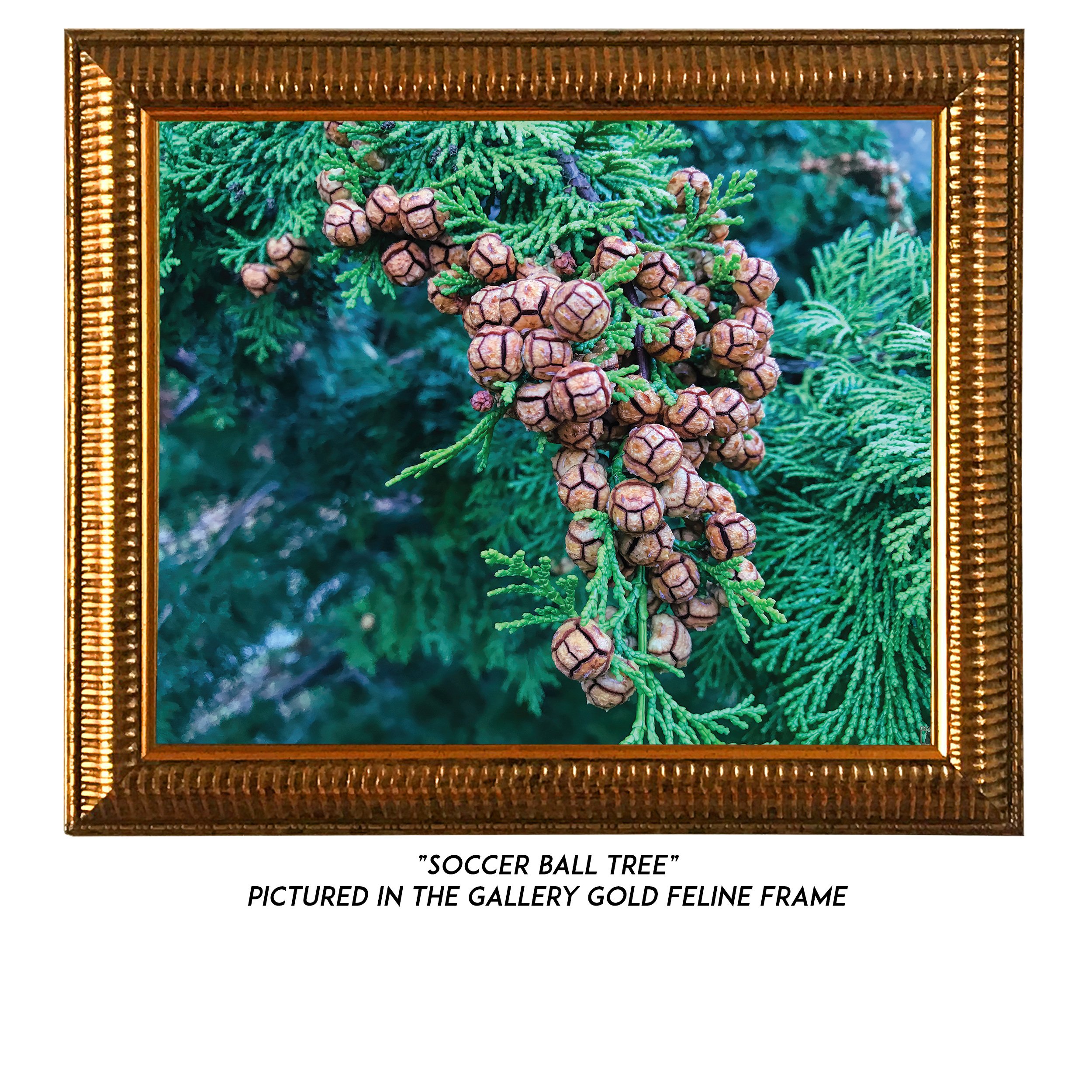 Soccer-Ball-Tree-G.jpg
