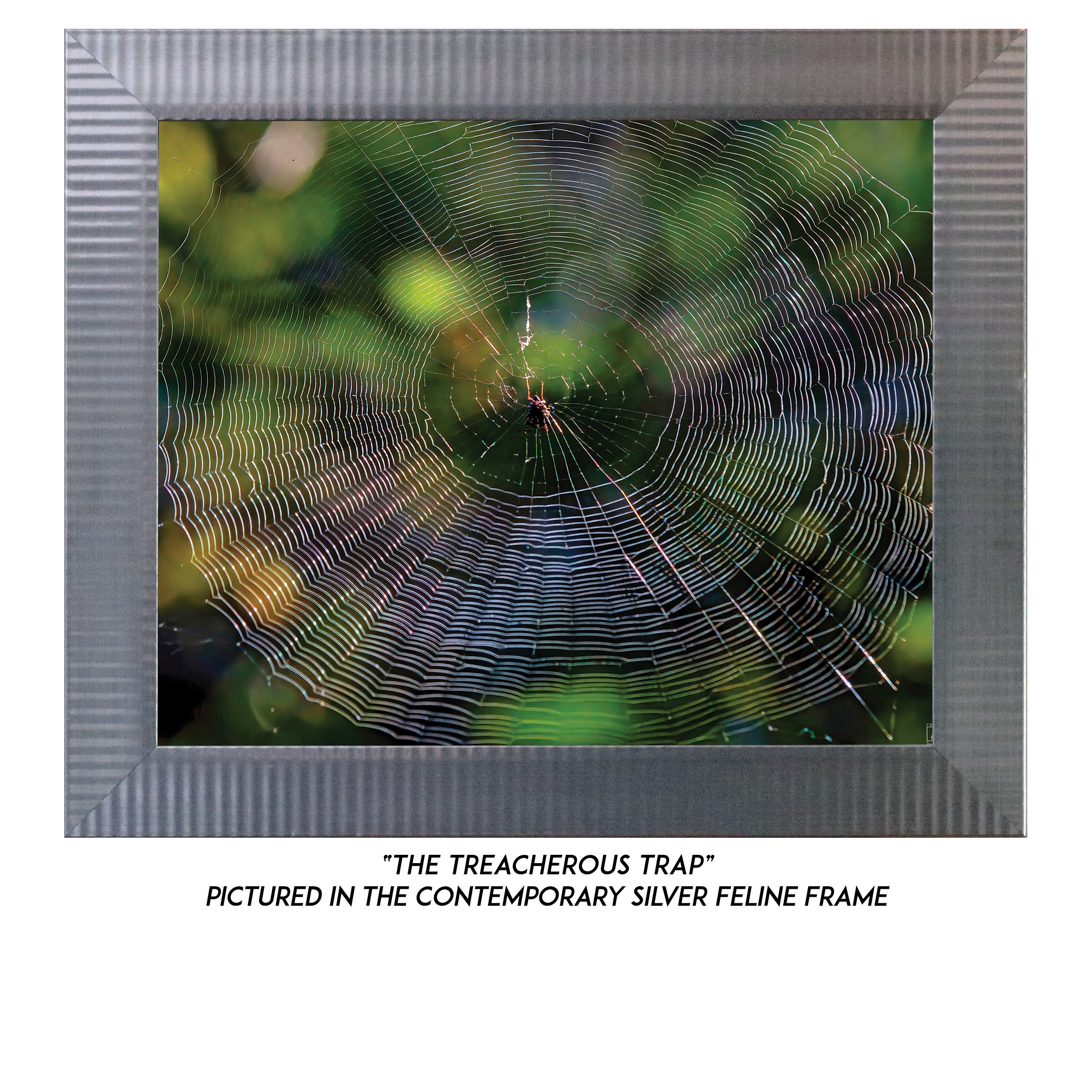 The-Treacherous-Trap-S.jpg