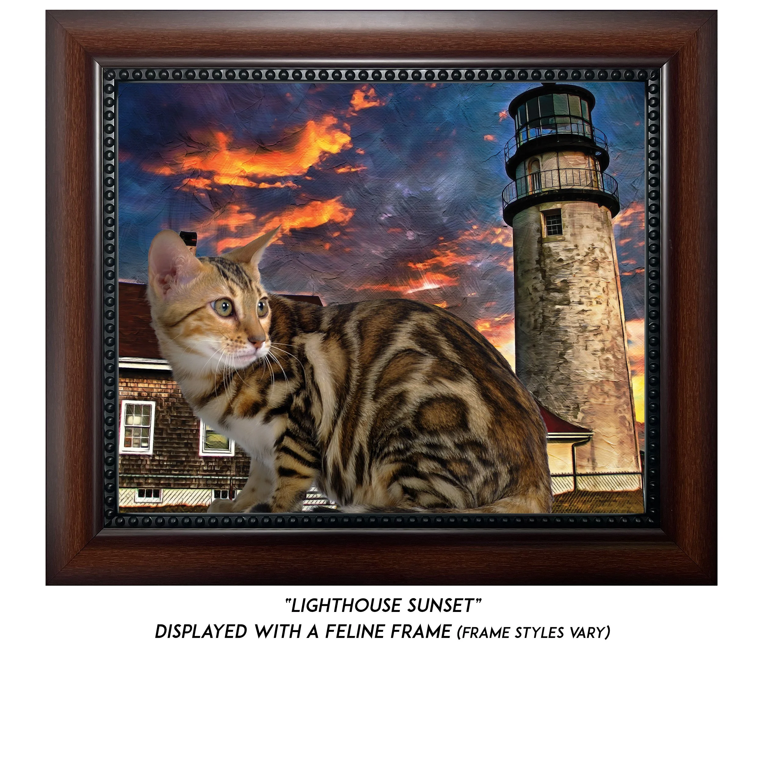 Lighthouse-Sunset-CAT.jpg (Copy)