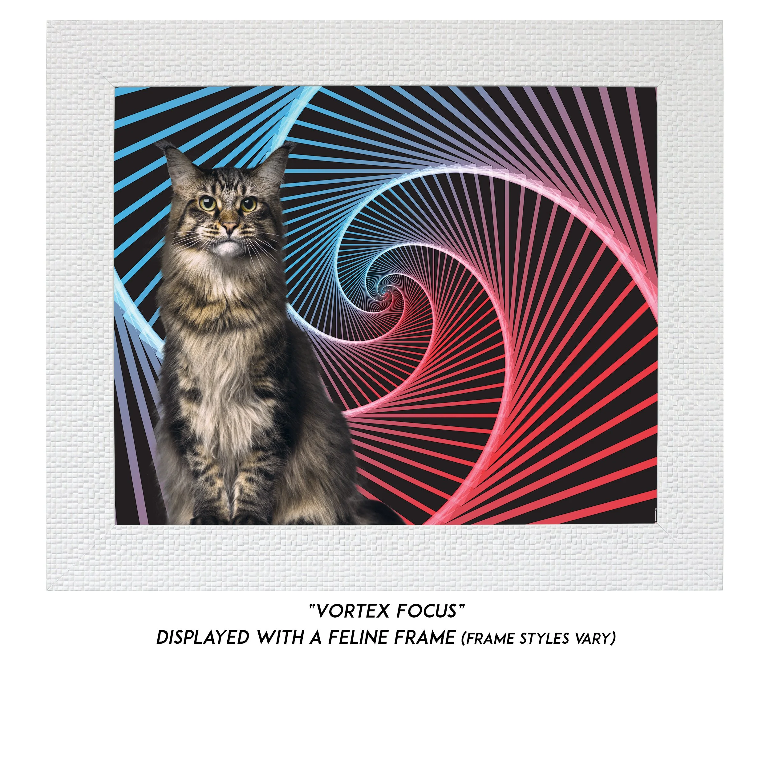 Vortex-Focus-CAT.jpg