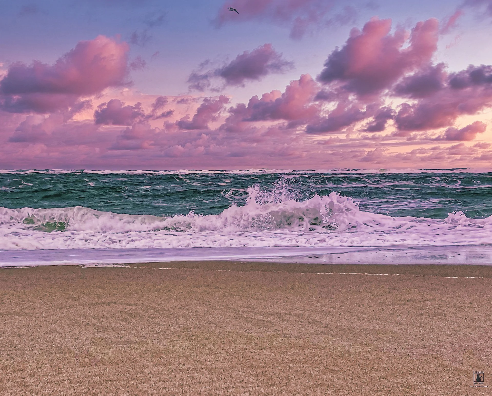 "Wave Crash" | Photography by Isabel Rodriguez