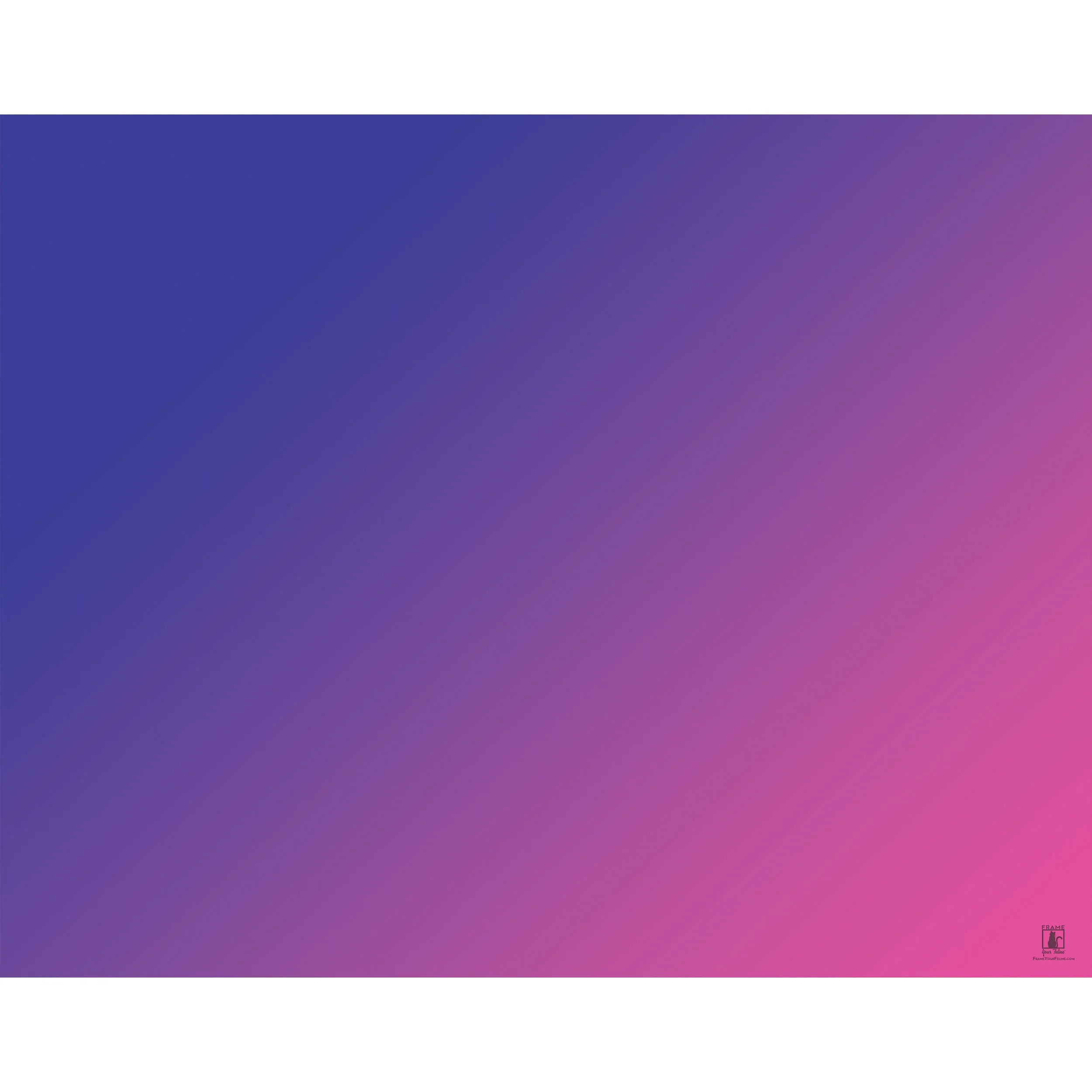 Colors