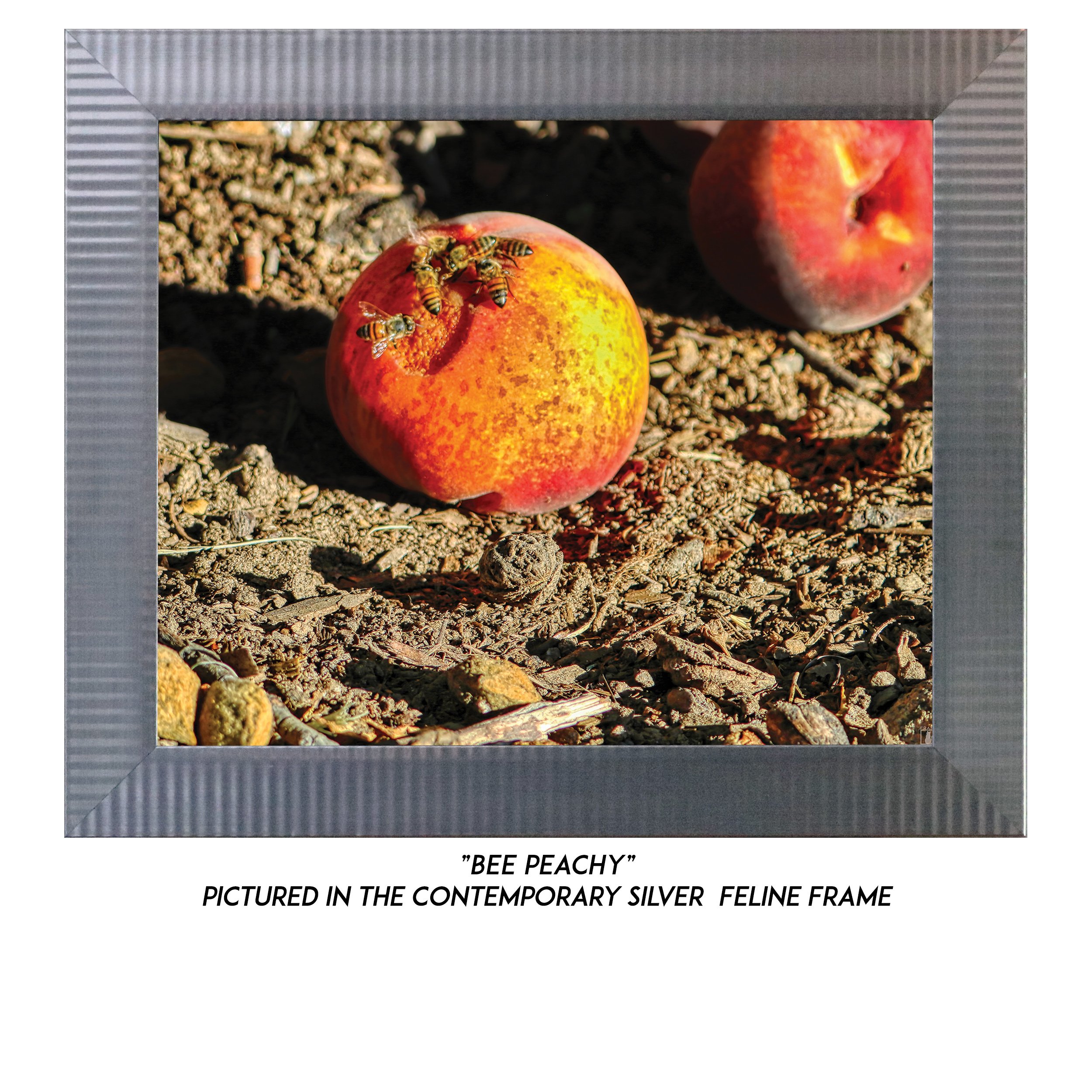 Bee-Peachy-S.jpg