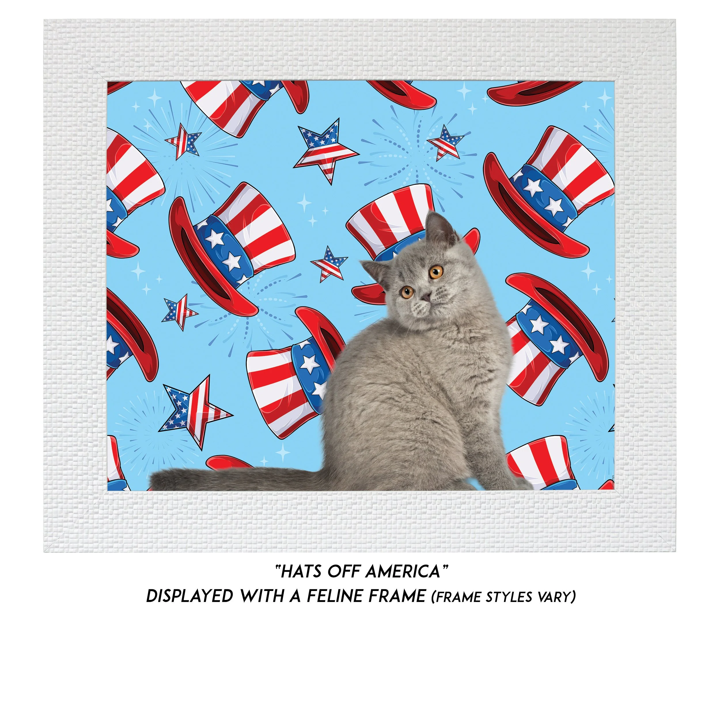 Hats-Off-America-CAT.jpg