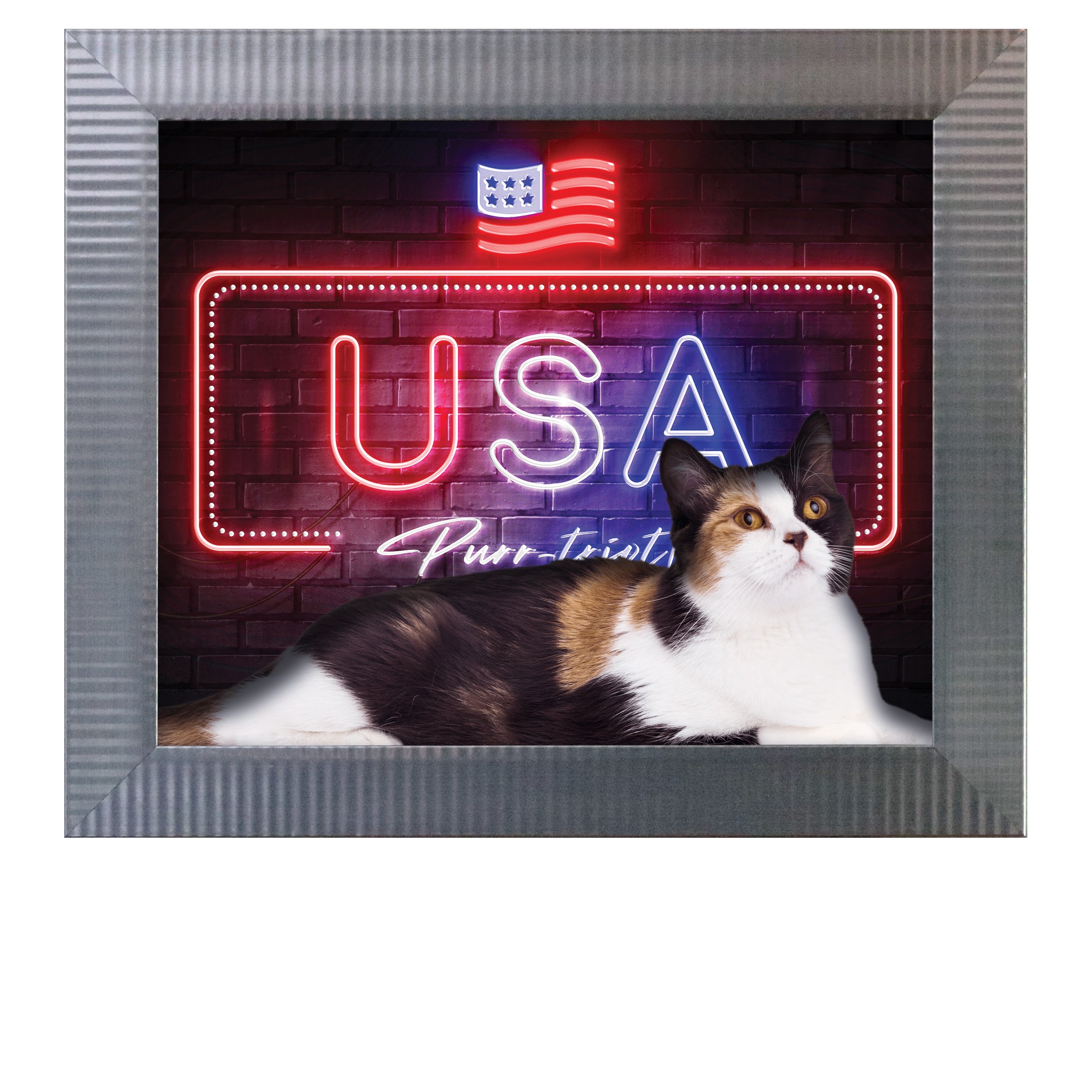 USA-Purr-triot-CAT.jpg