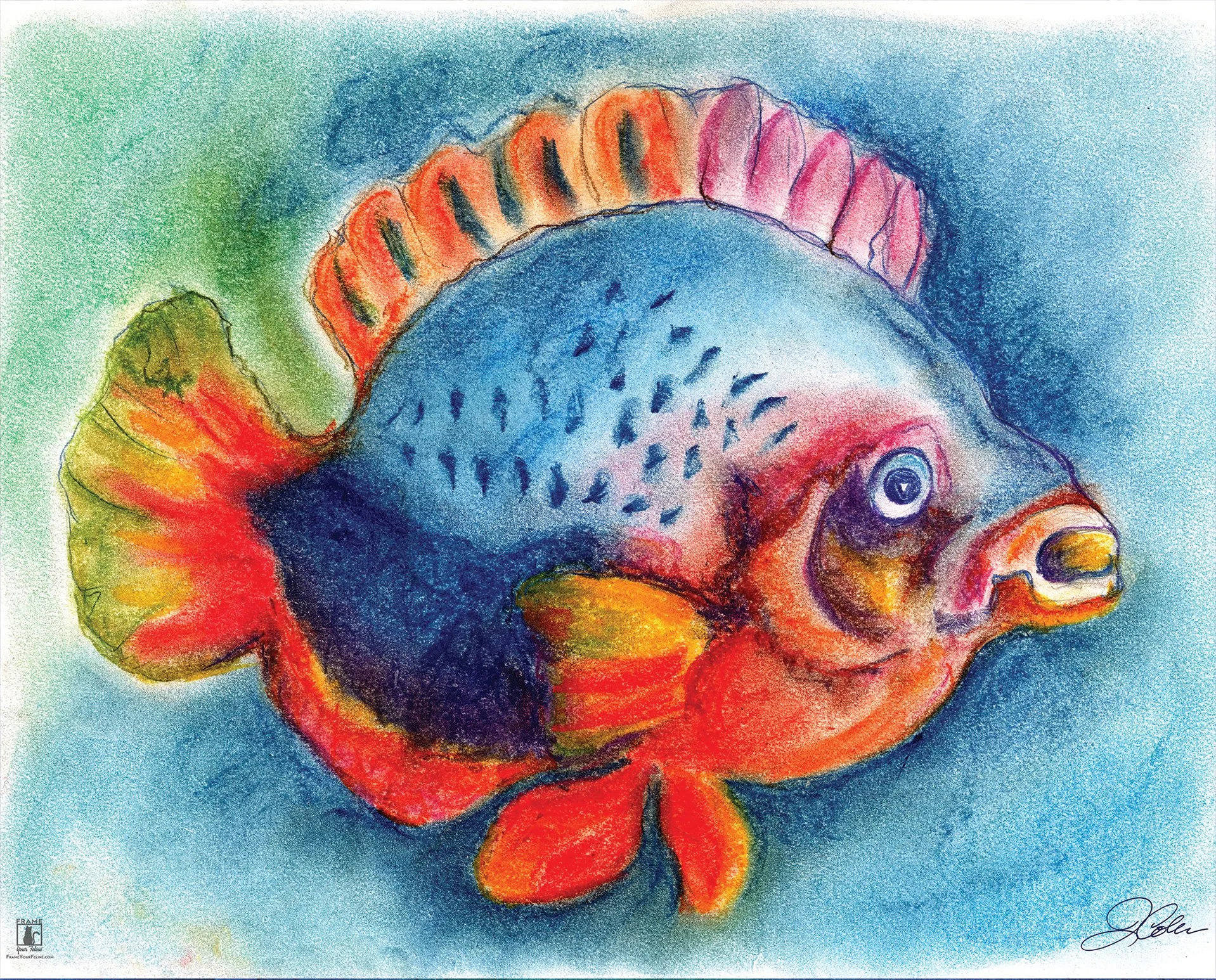 Senor-Fish.jpg