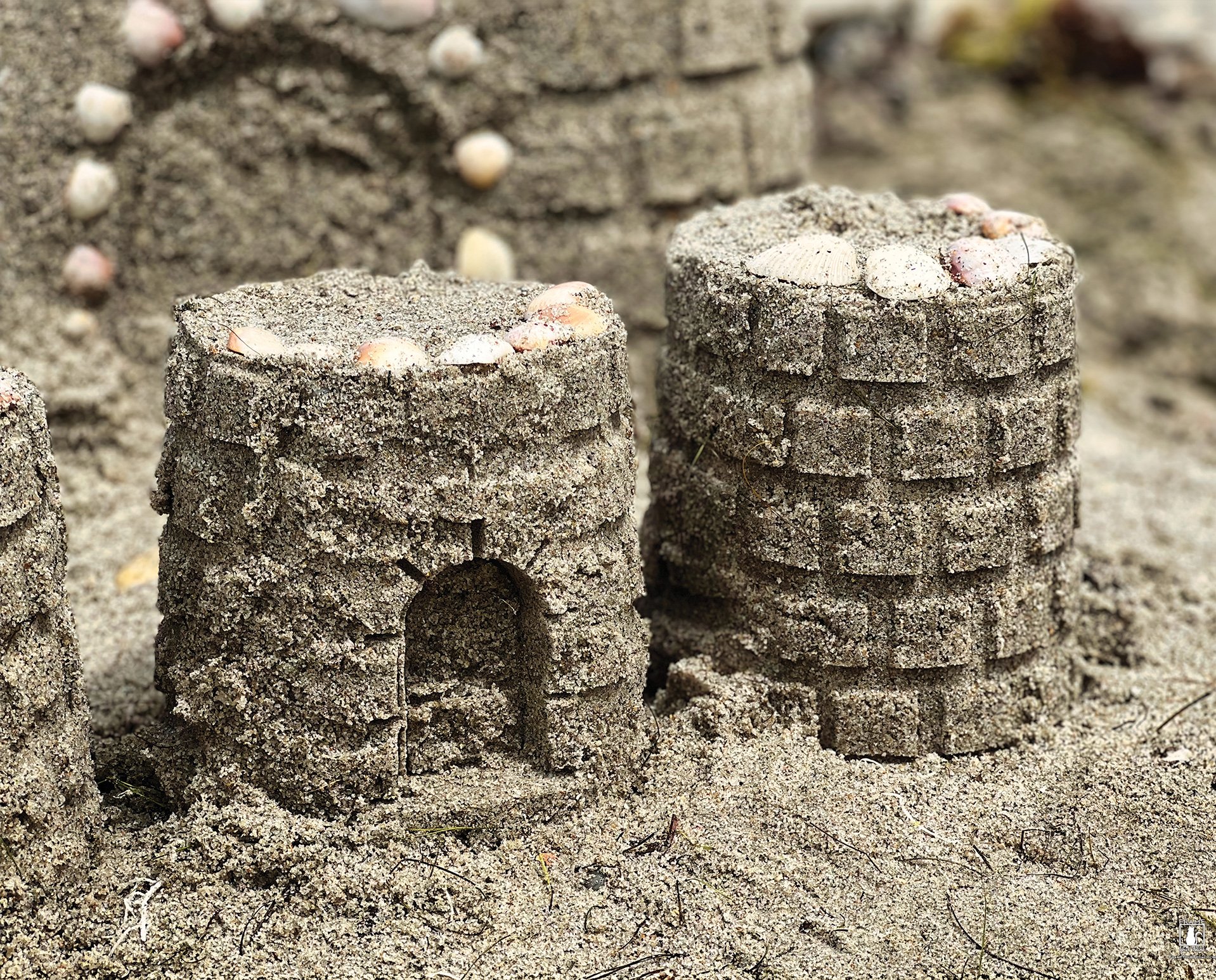 Enter-the-Castle-T.jpg