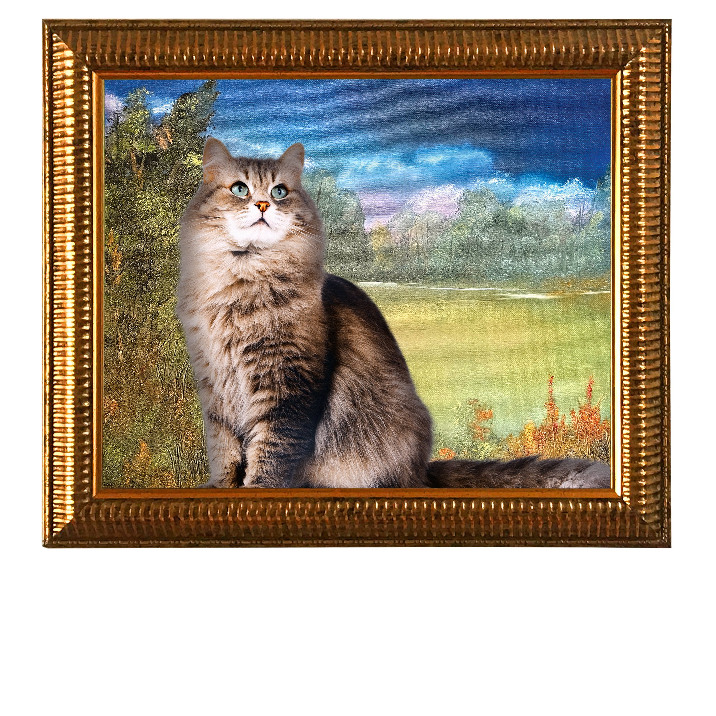 Calm-Before-the-Storm-CAT.jpg