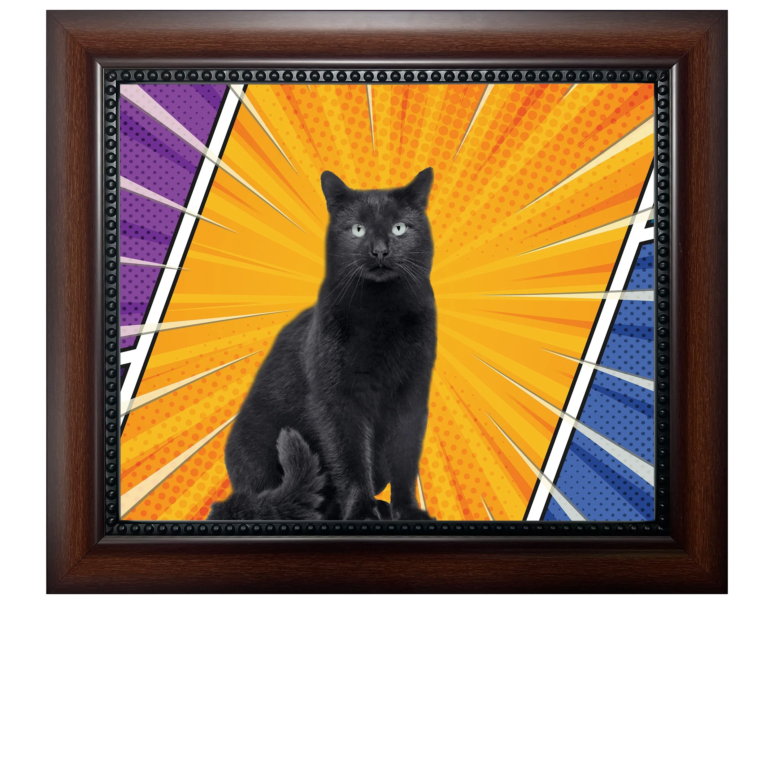 Hero-Kitty-CAT.jpg