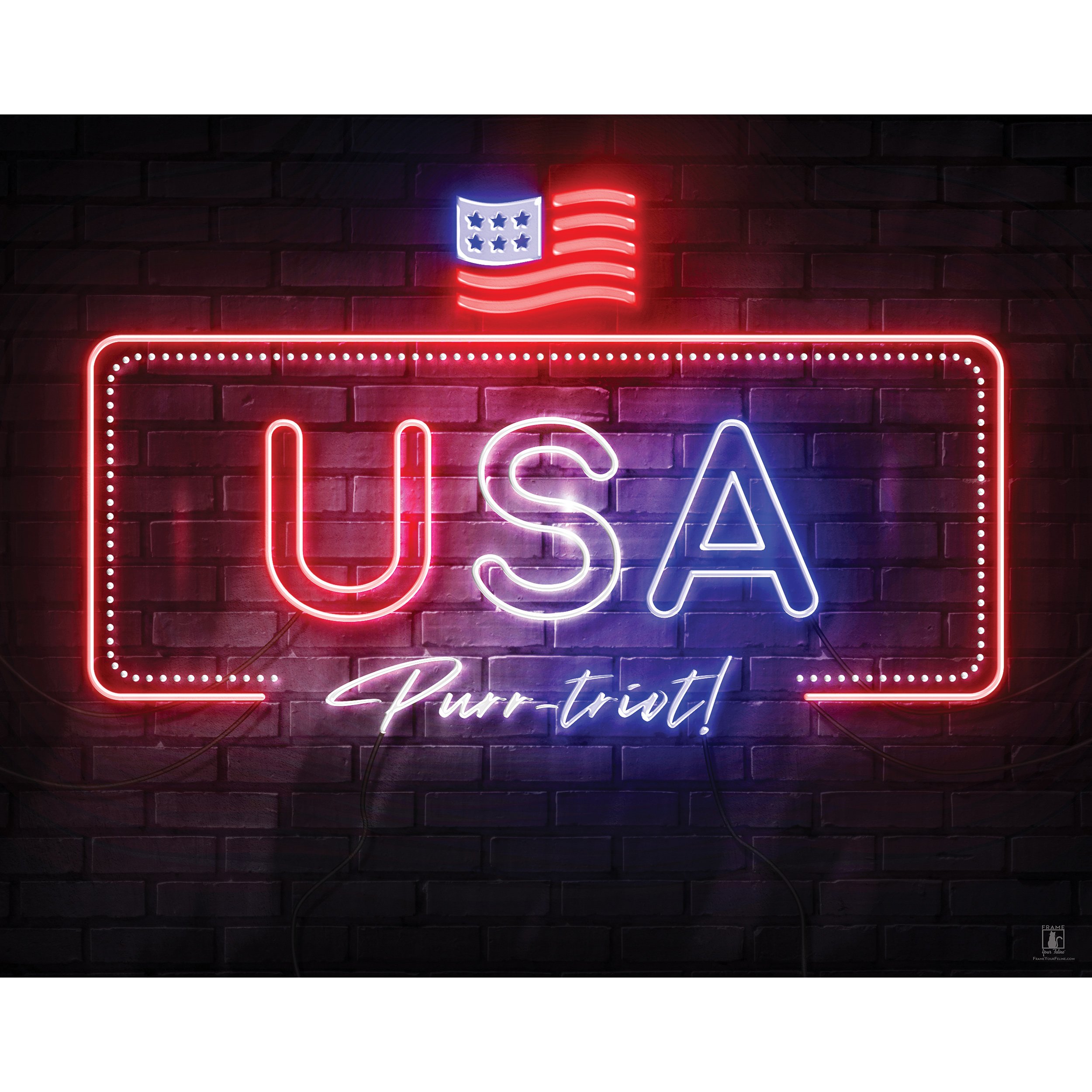 “USA Purr-triot” | By Brian Vermeire