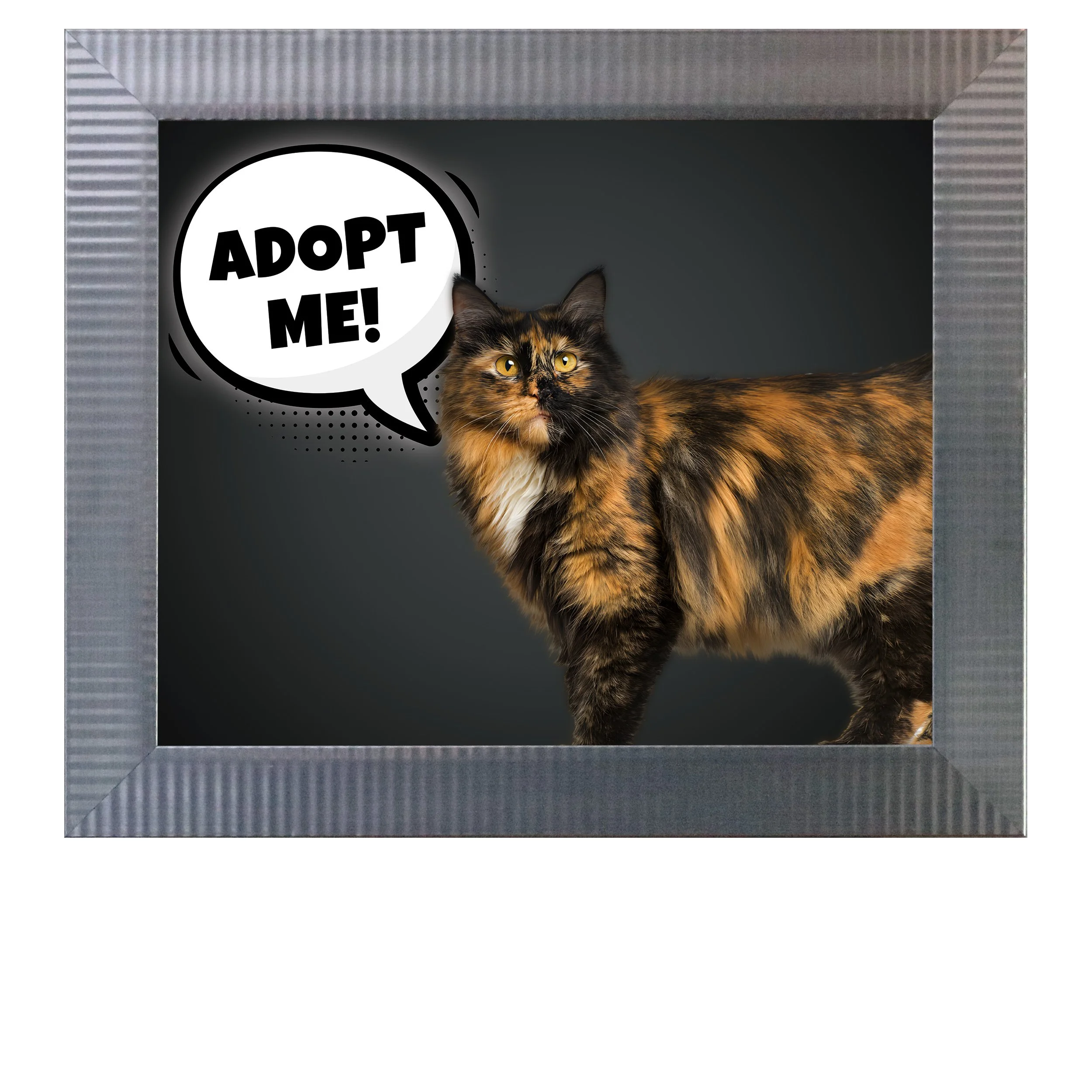 Adopt-Me-(Black-Gradient)-CAT.jpg