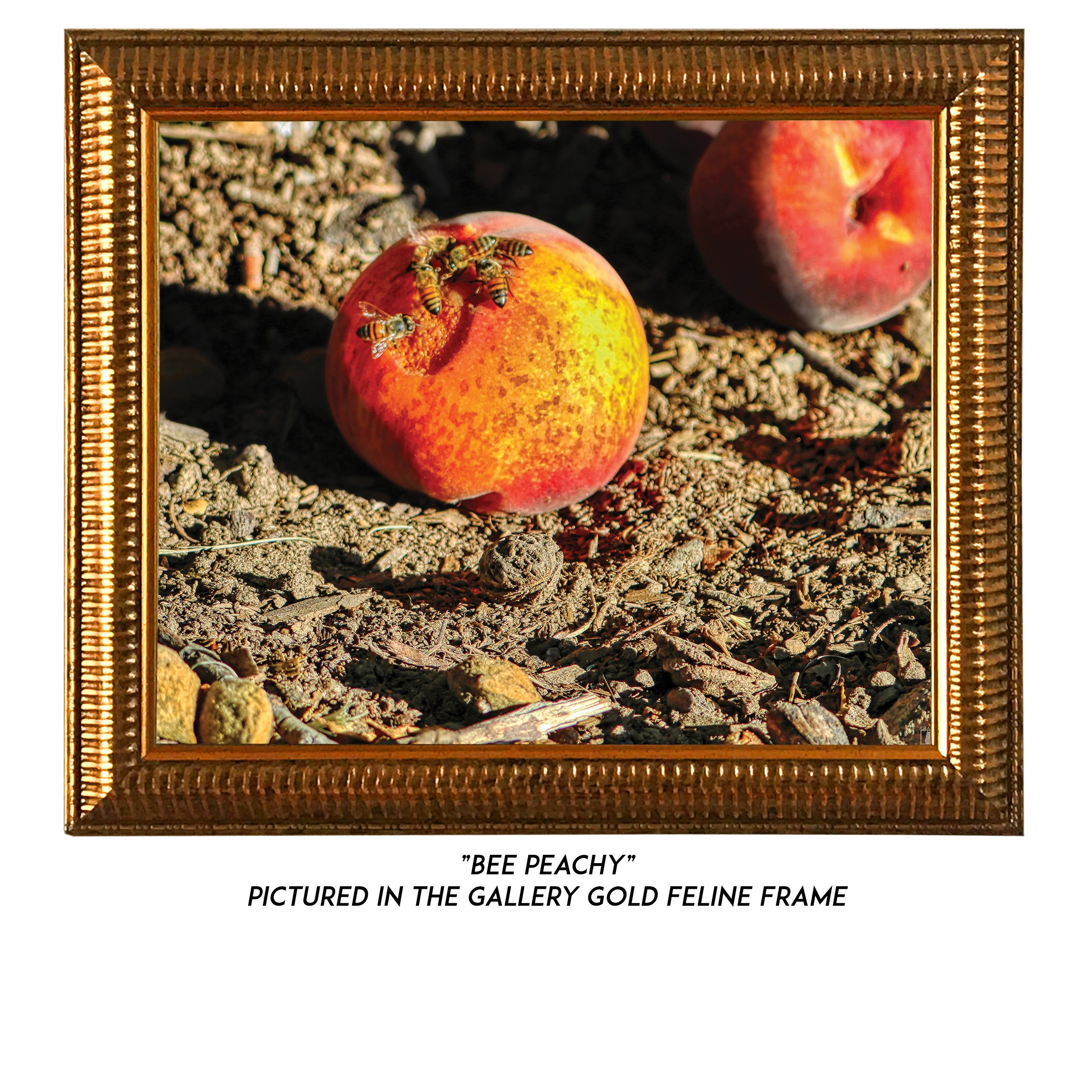Bee-Peachy-G.jpg