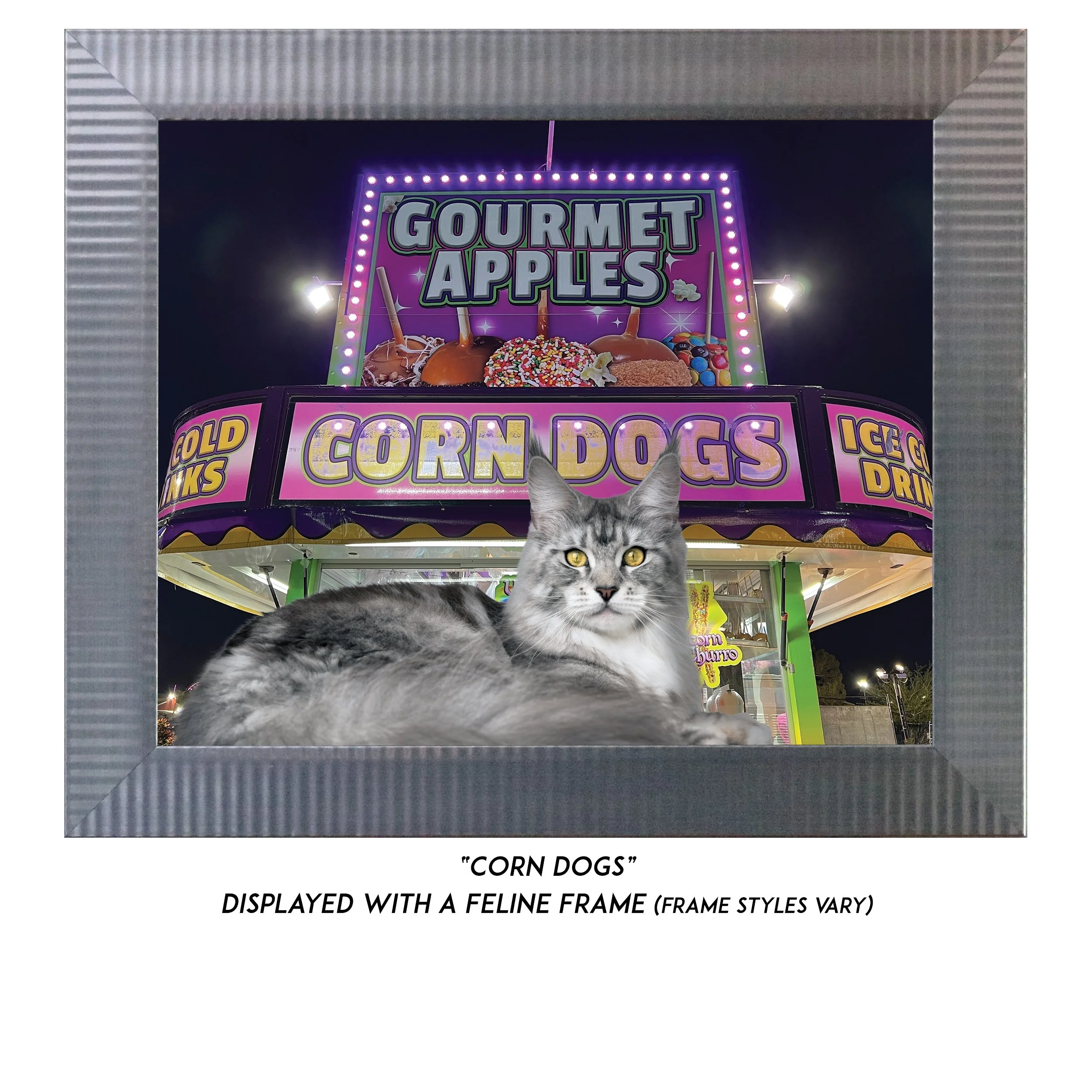 Corn-Dogs-CAT.jpg