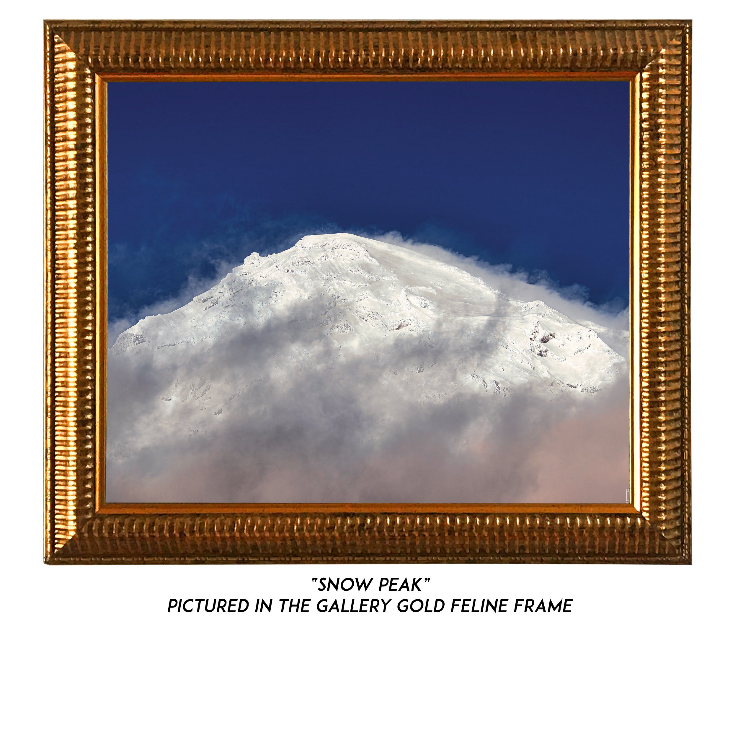 Snow-Peak-G.jpg