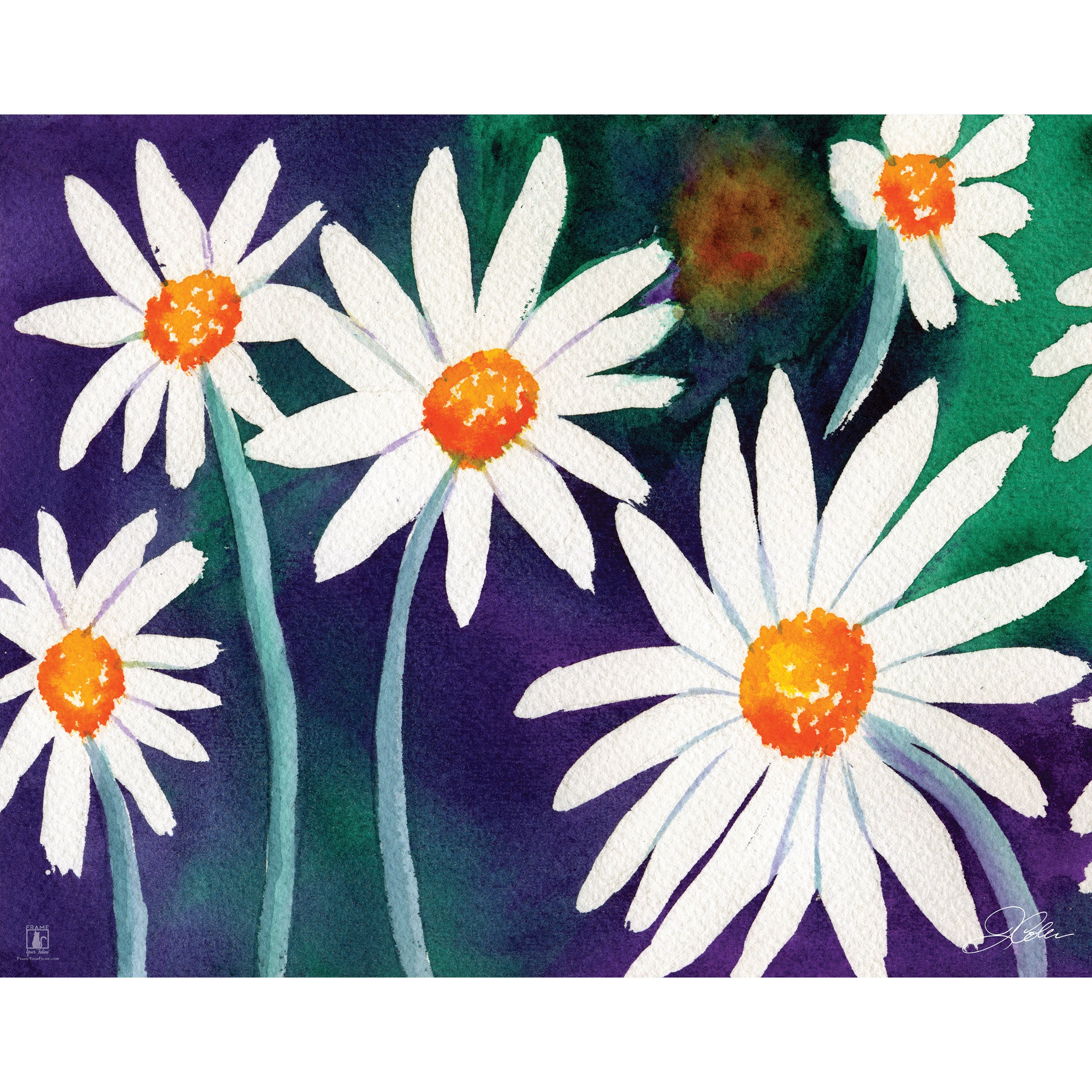 "Daisies" | By Jeanine Colini