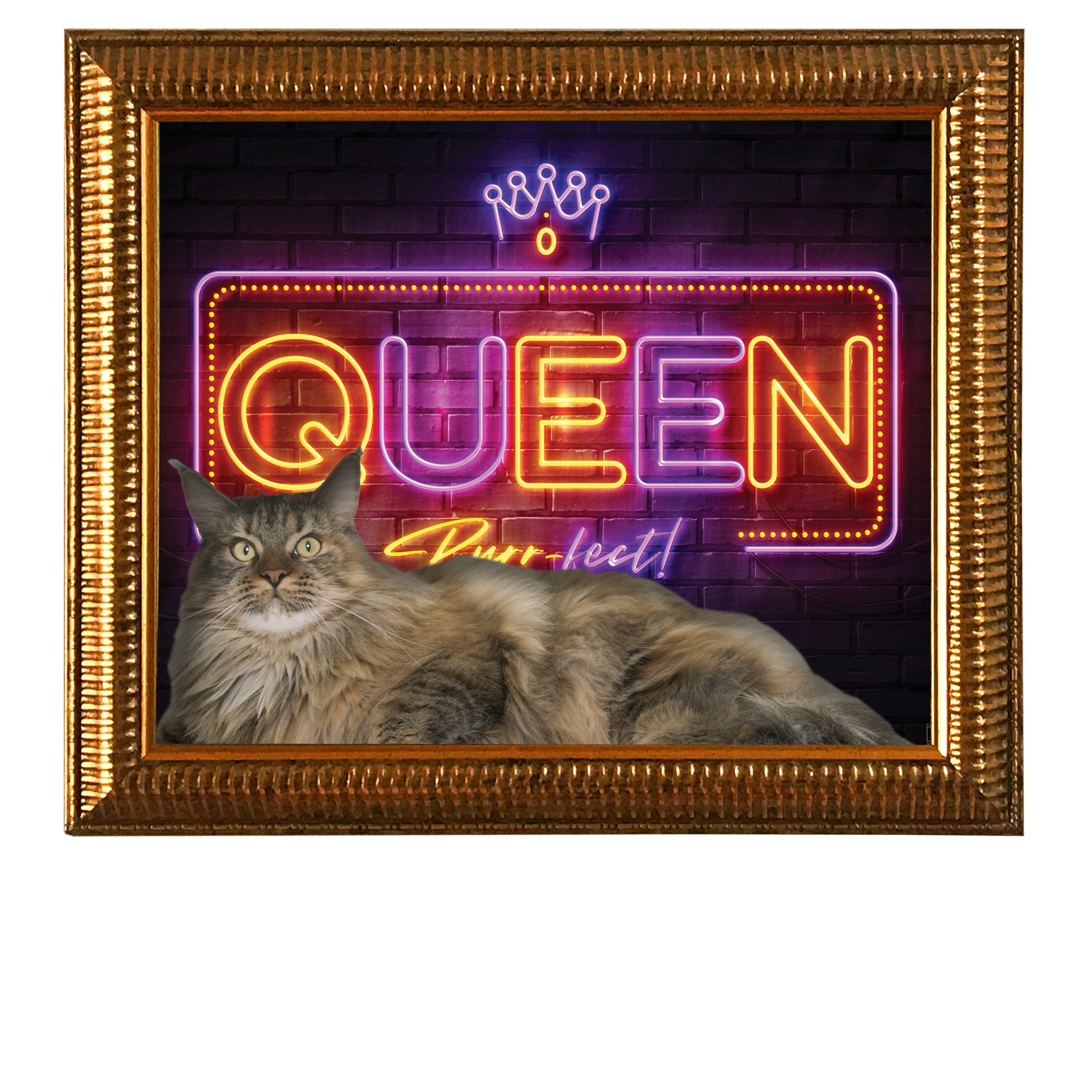 Queen-Purr-fect-CAT.jpg