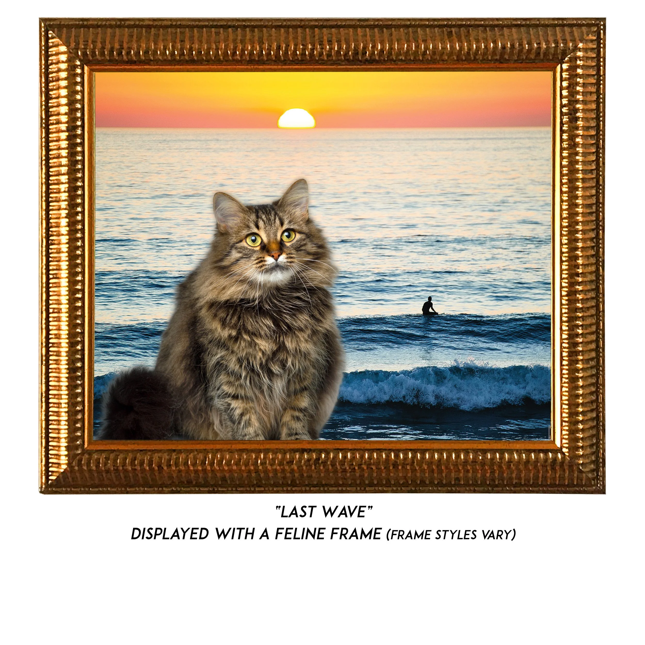 Last-Wave-CAT.jpg