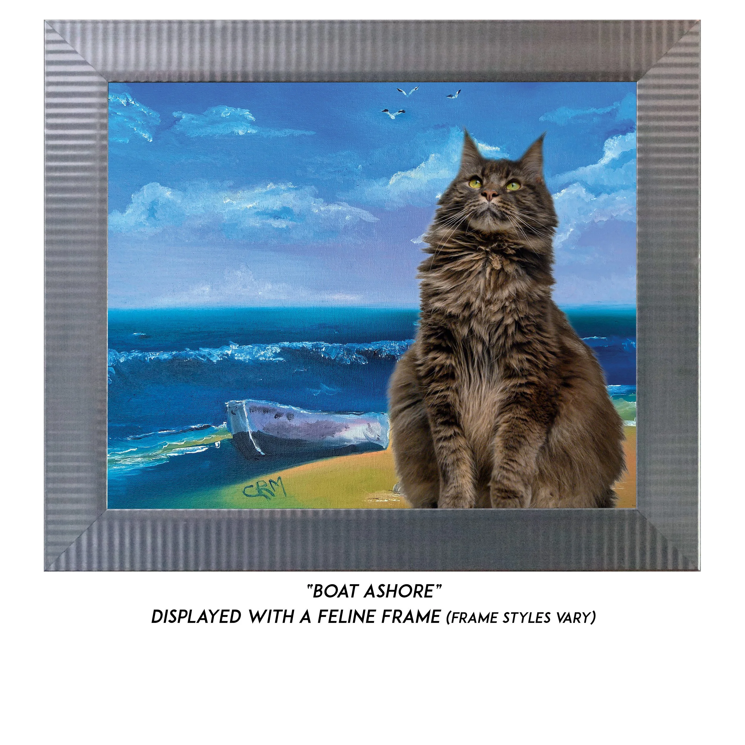 Boat-Ashore-CAT.jpg (Copy)