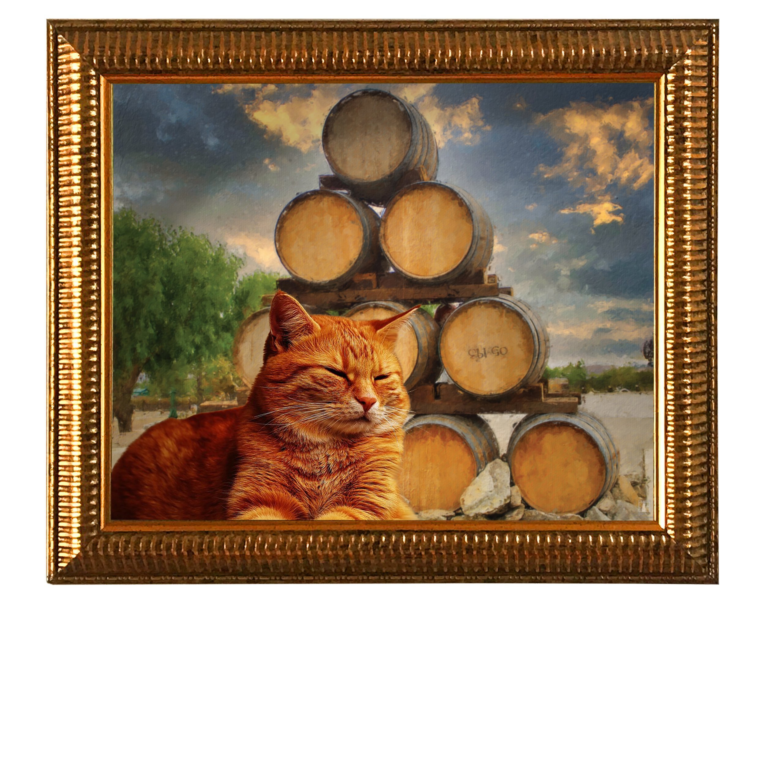 Barrel-Pyramid-Cat.jpg