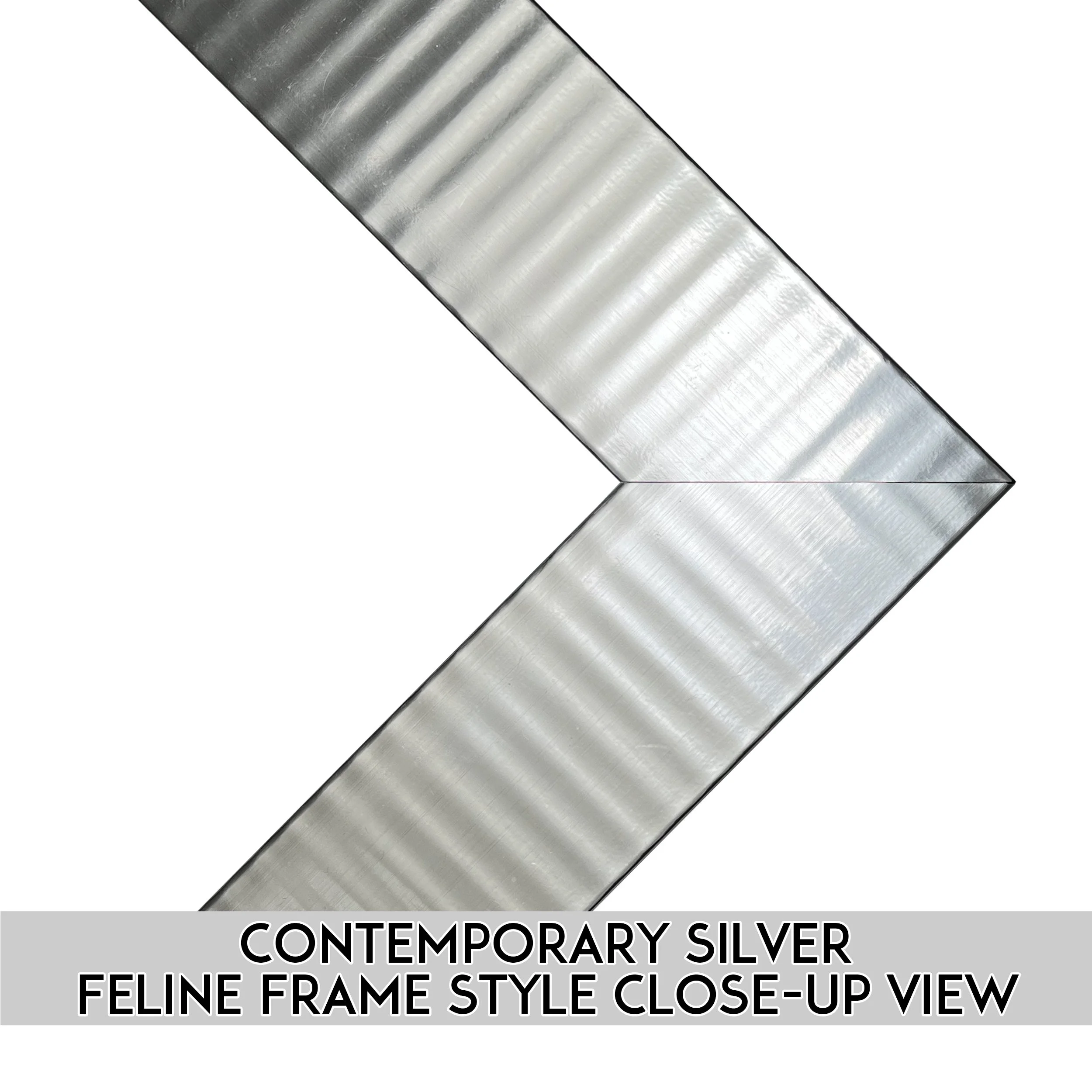 Feline Frame Starter Set — Frame Your Feline
