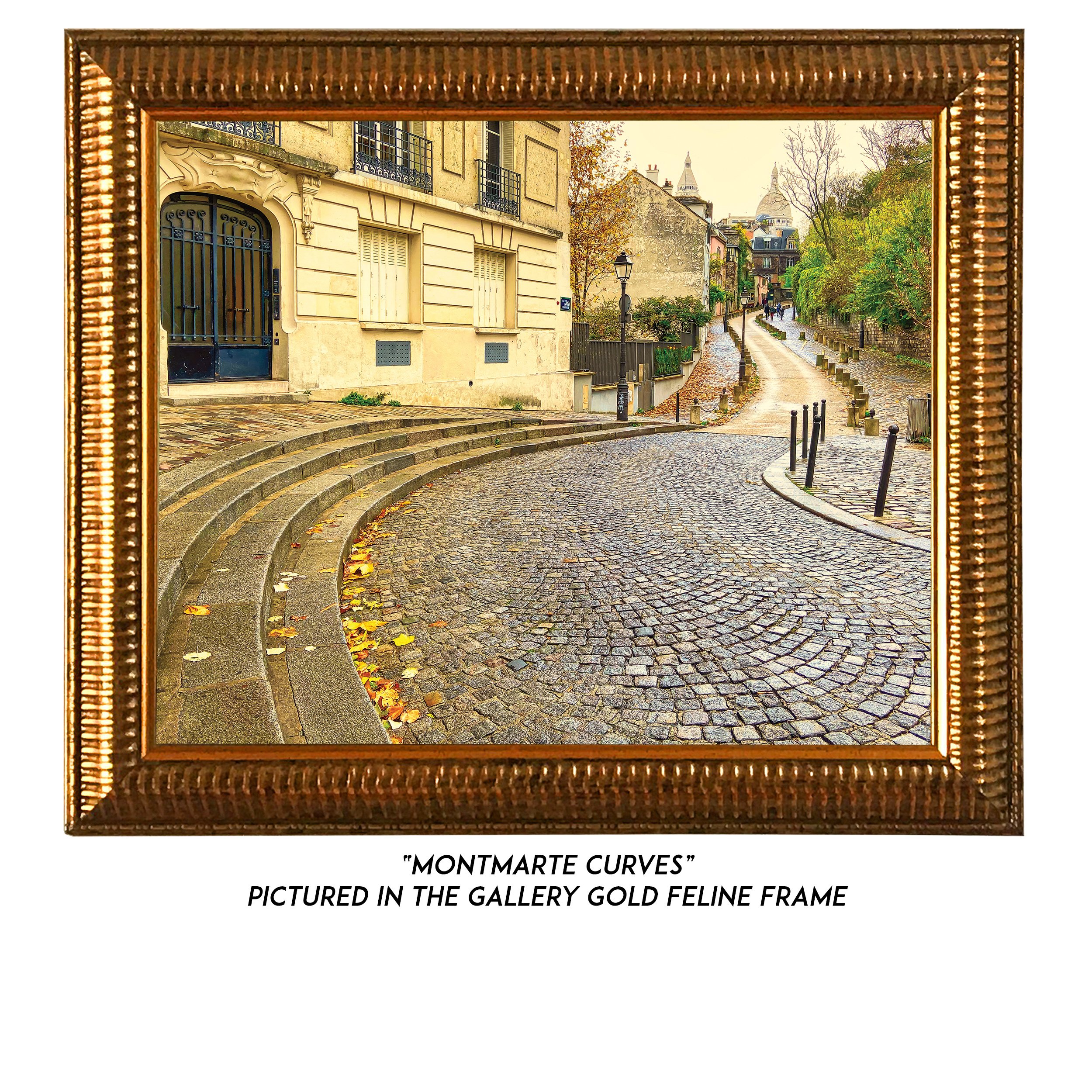 Montmarte-Curves-G.jpg