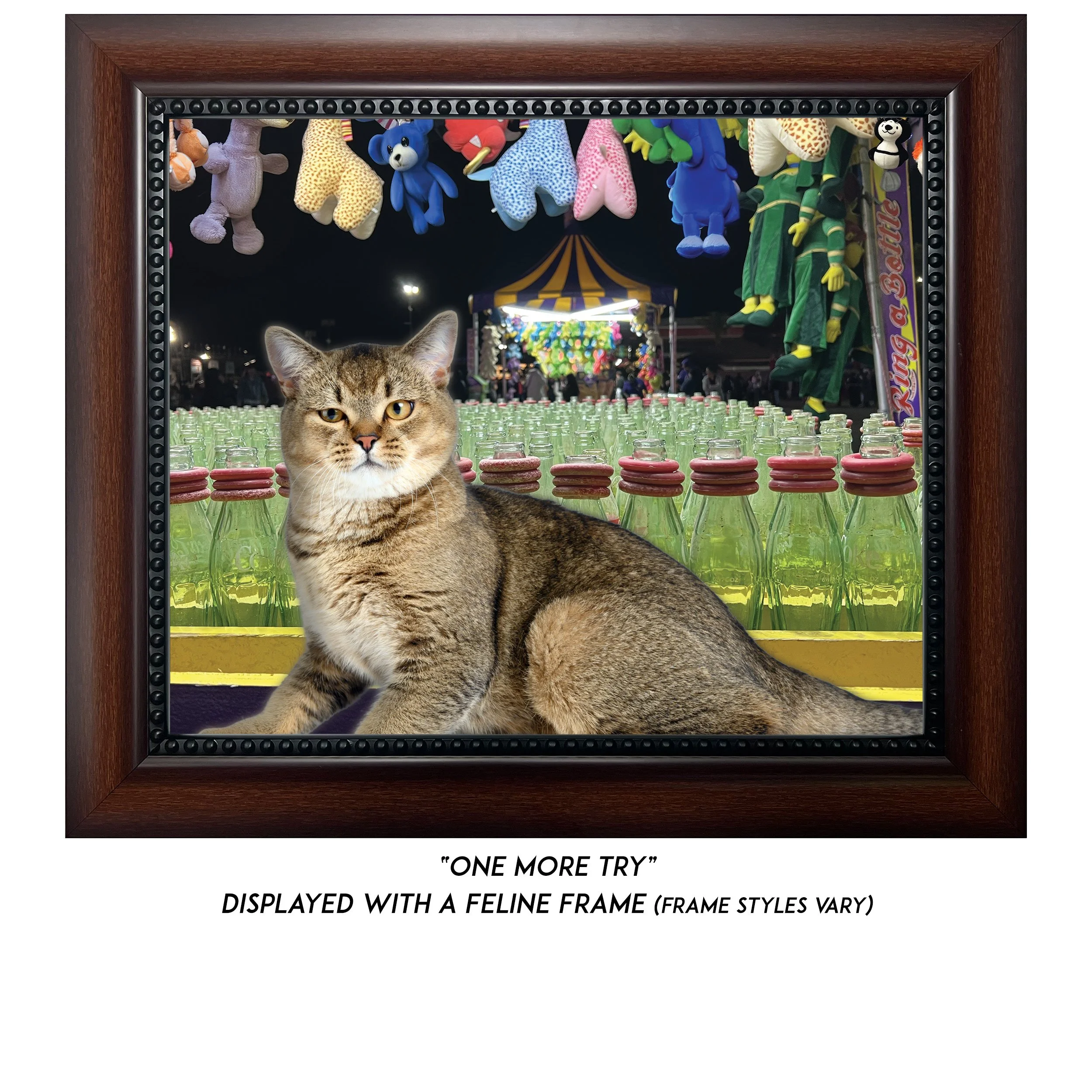 One-More-Try-CAT.jpg