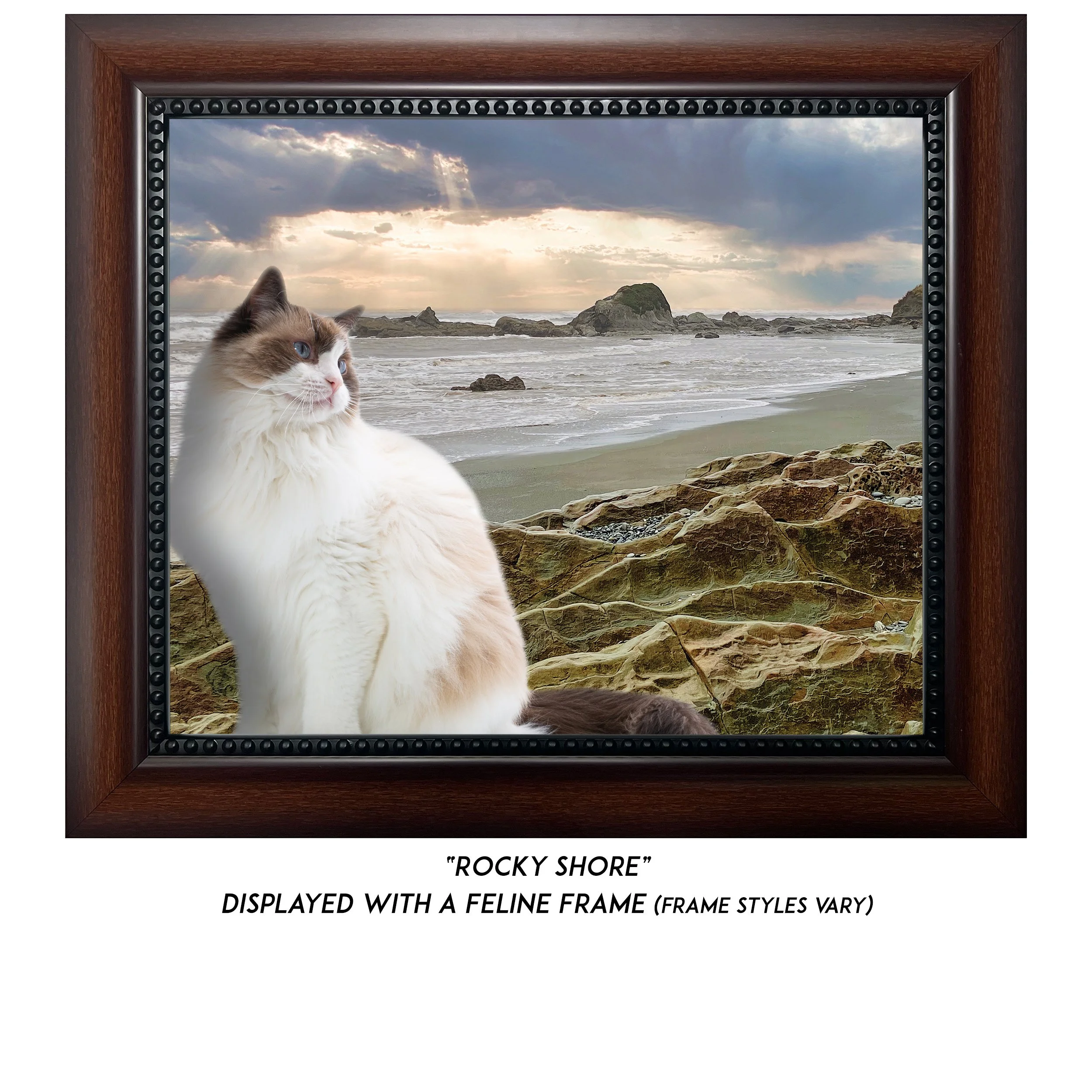 Rocky-Shore-CAT.jpg (Copy)