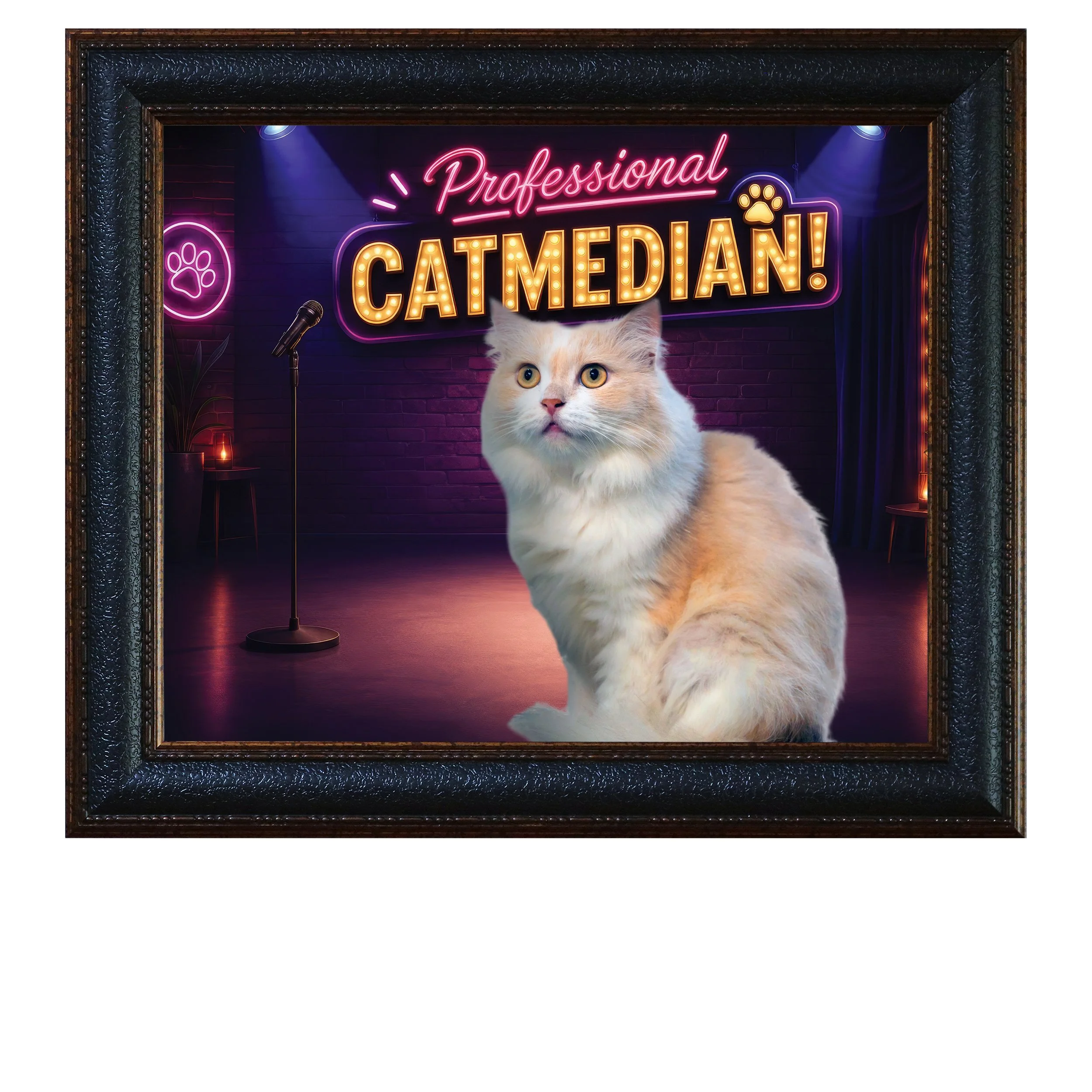 Professional-Catmedian-CAT2.jpg