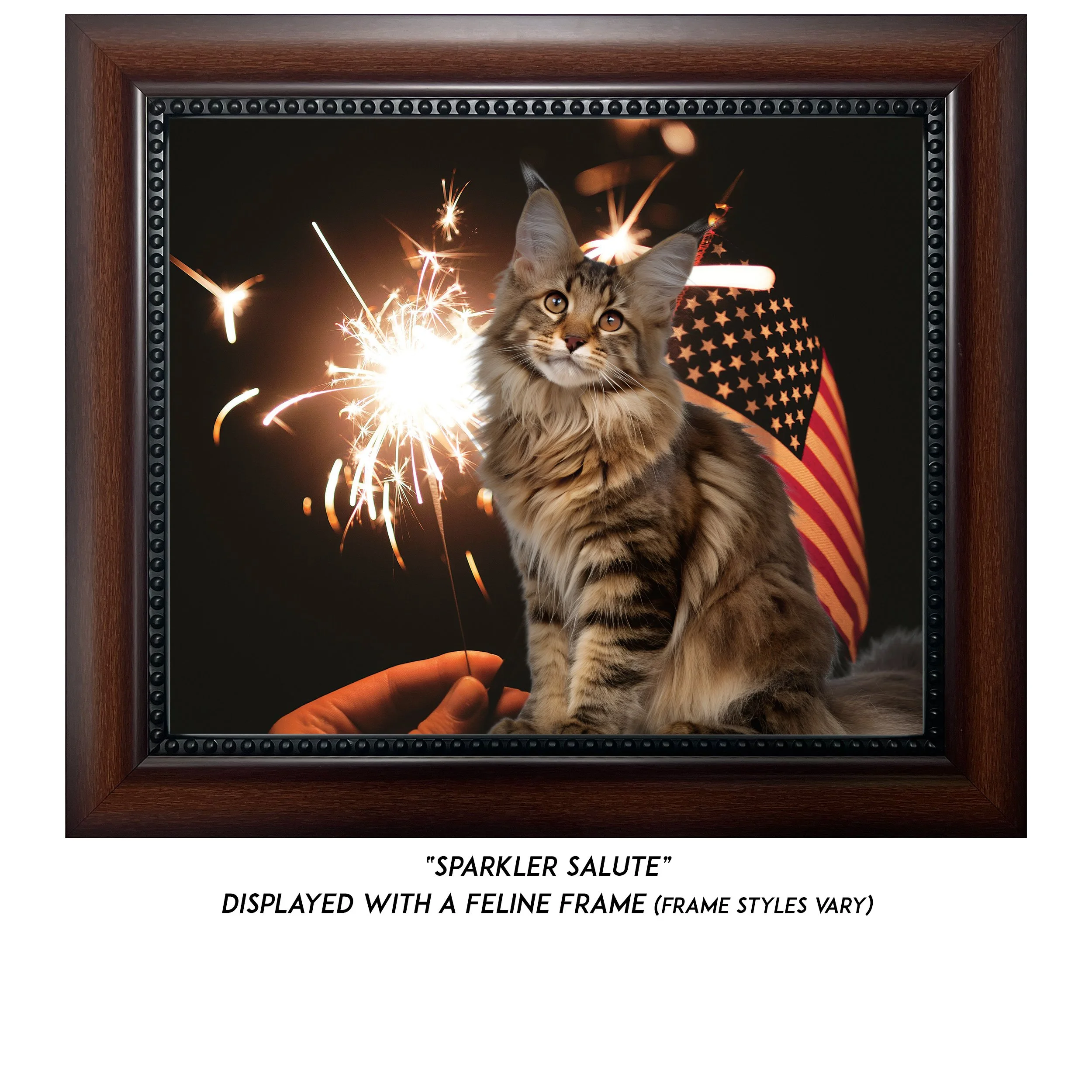 Sparkler-Salute-CAT.jpg