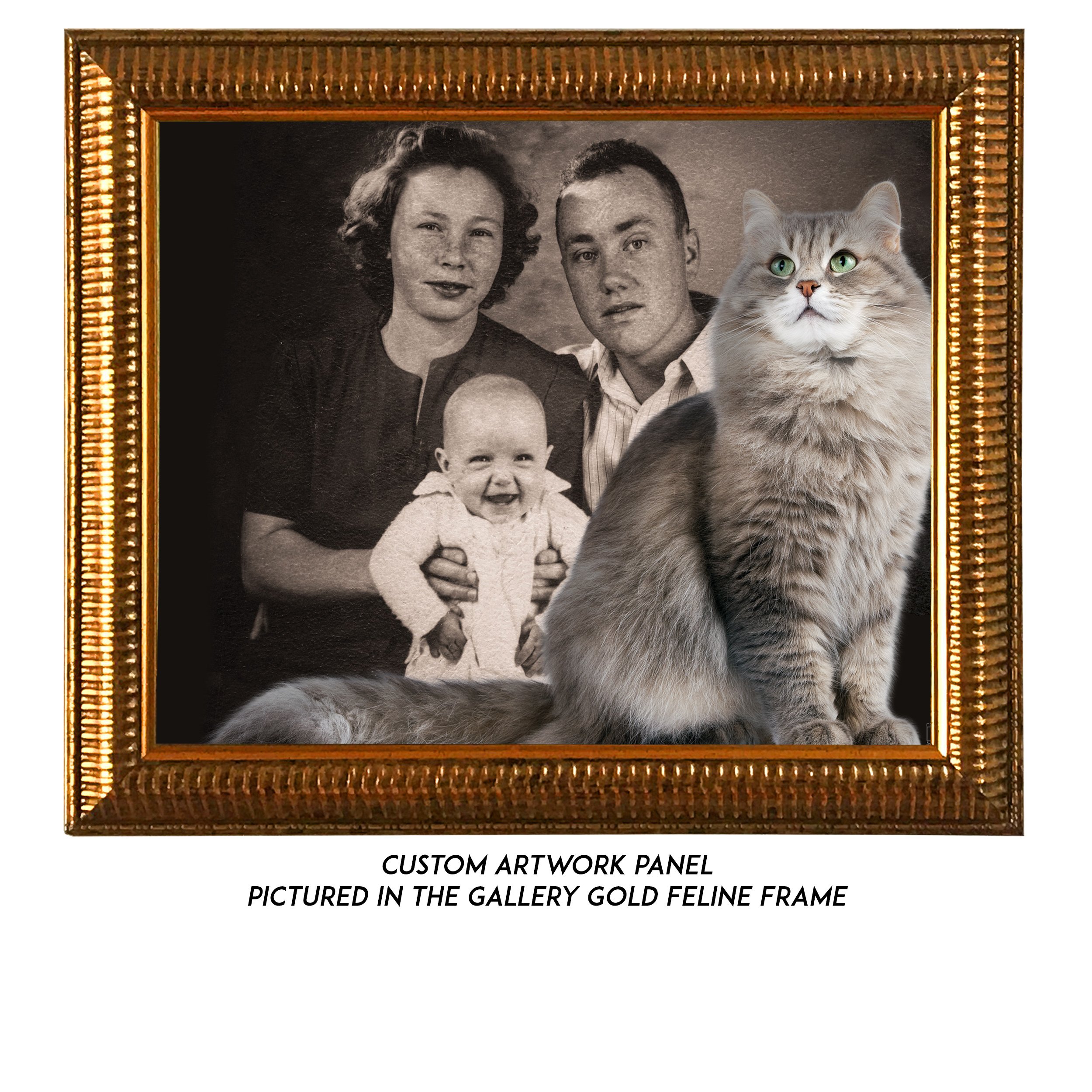 Custom-Family-3-Cat.jpg
