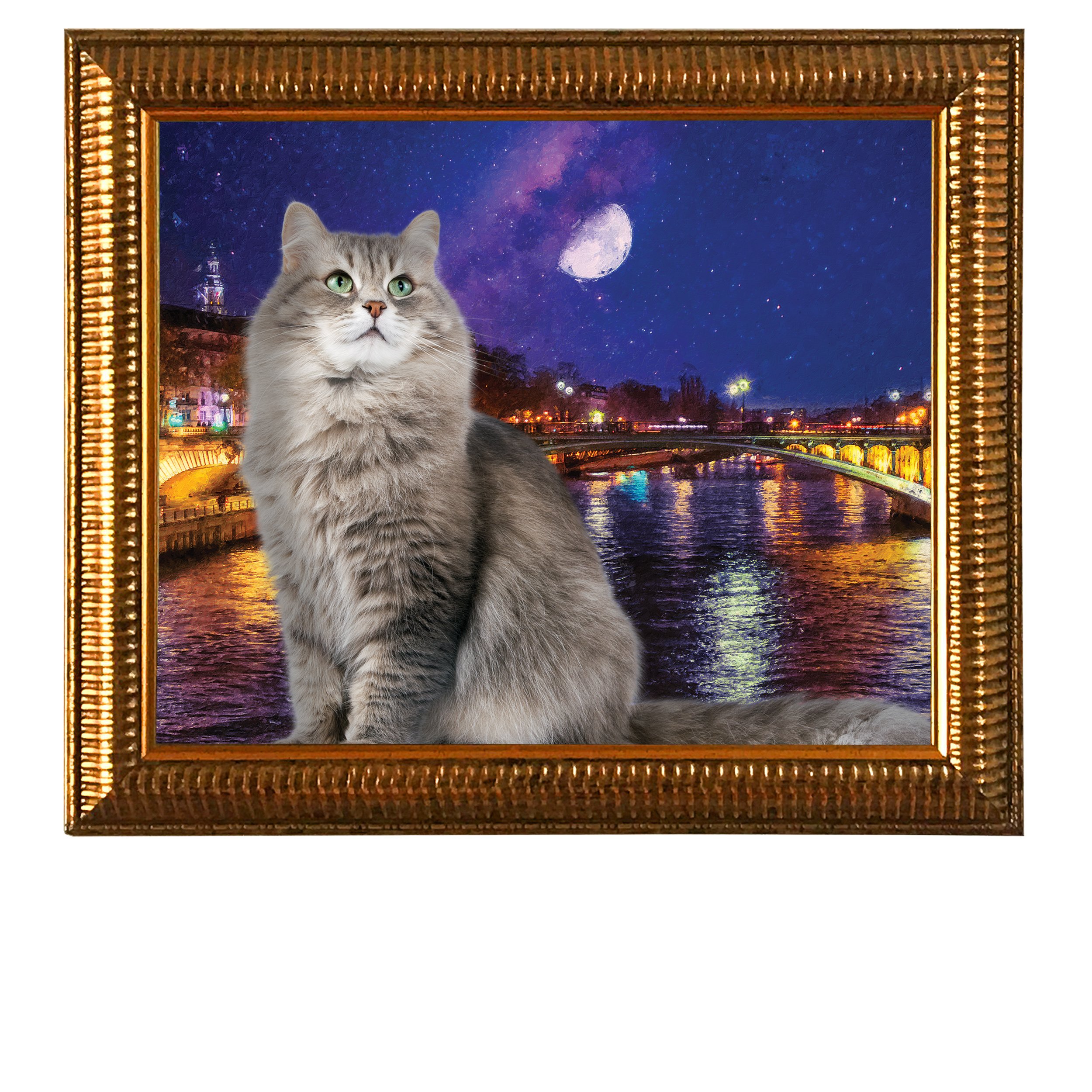 Seine-At-Night-CAT.jpg