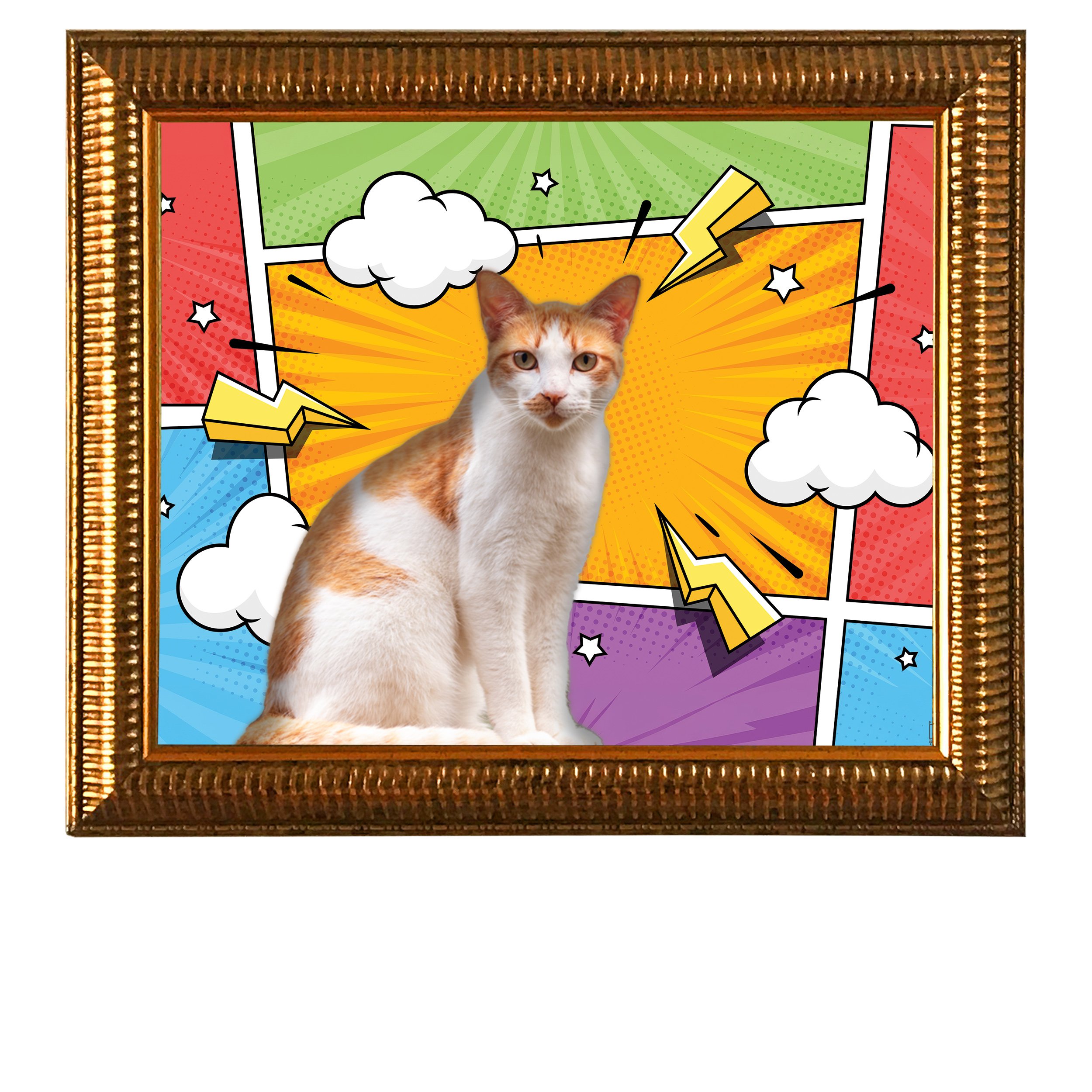 Impact-Zone-CAT.jpg