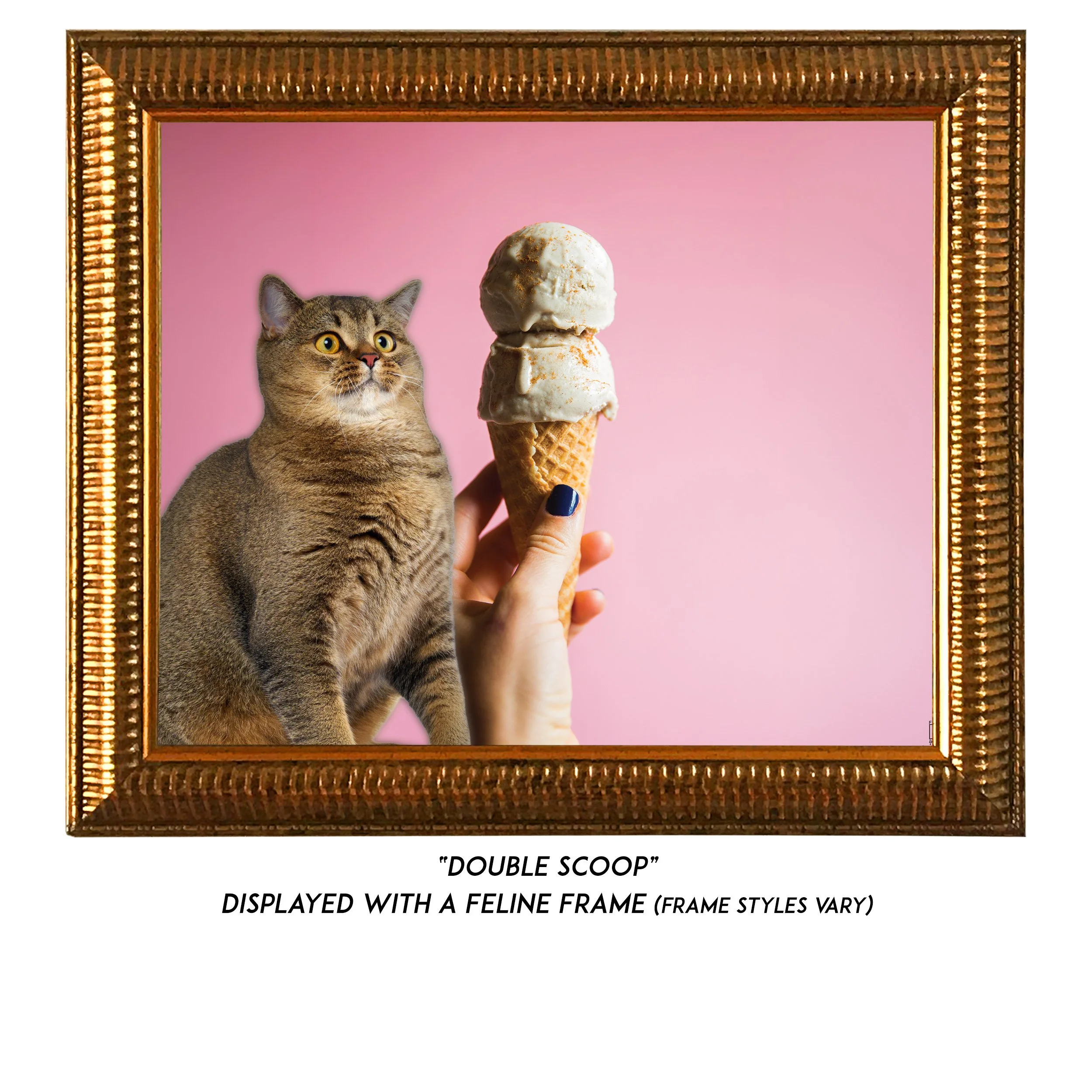 Double-Scoop-CAT.jpg