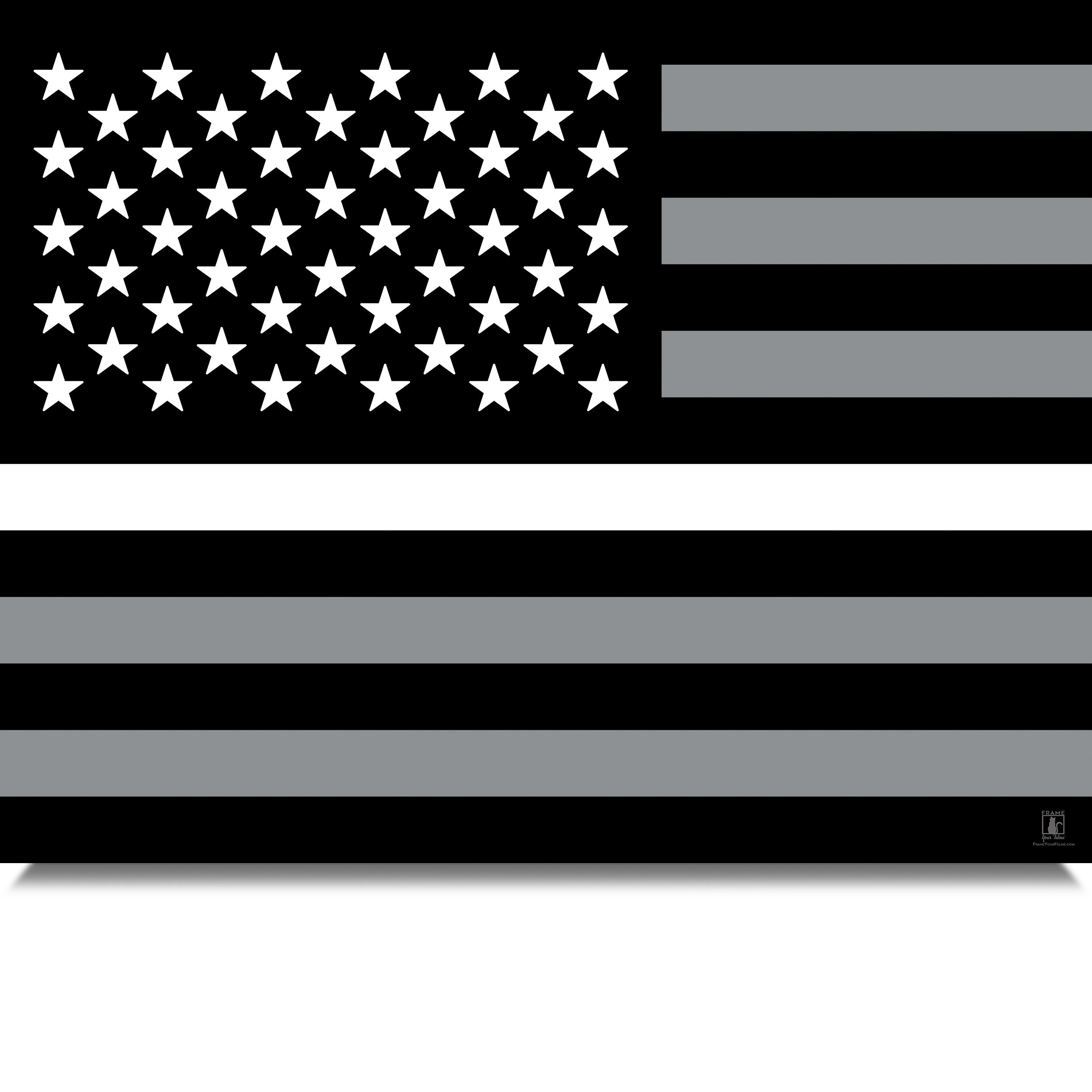 Thin-White-Line-Flag-MB.jpg