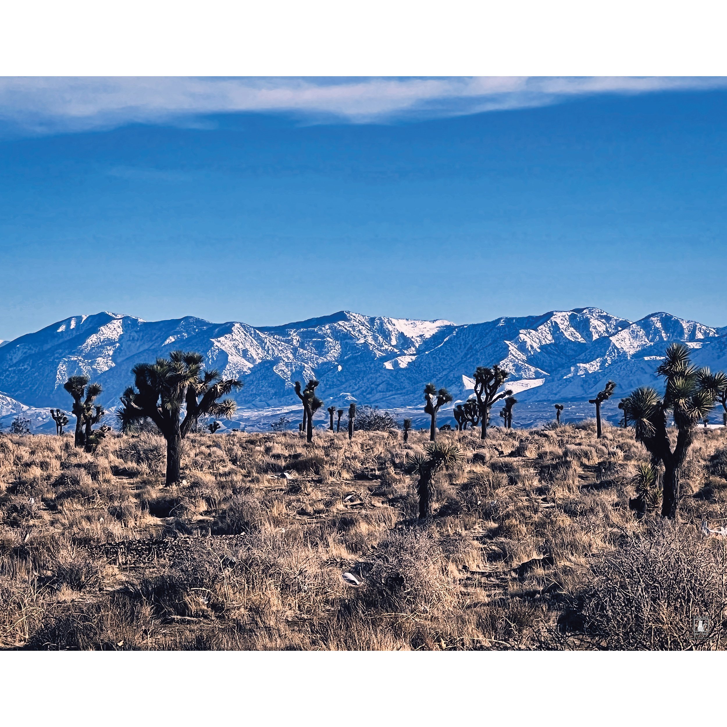 “Desert View” | By Kristina Hughes