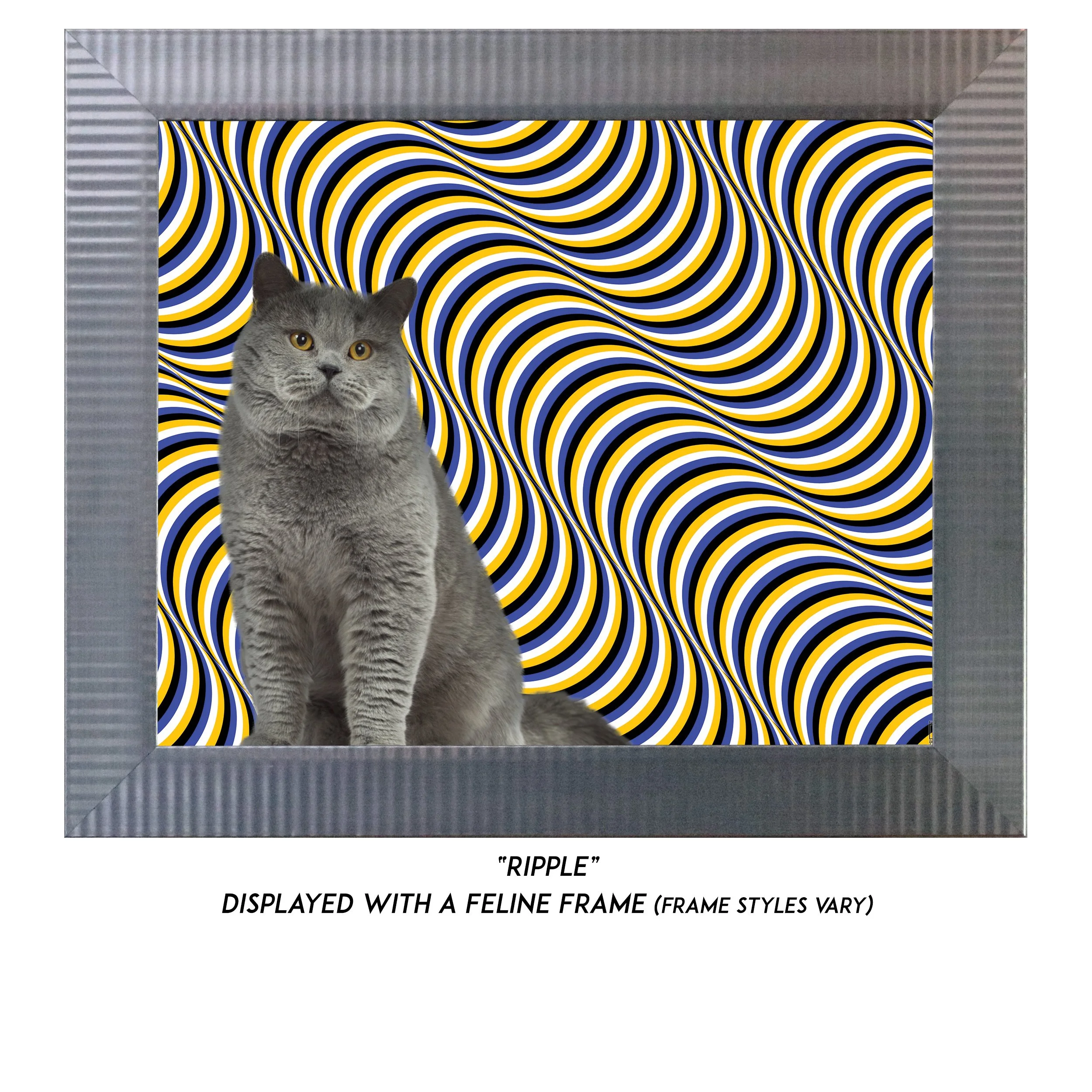 Ripple-CAT.jpg