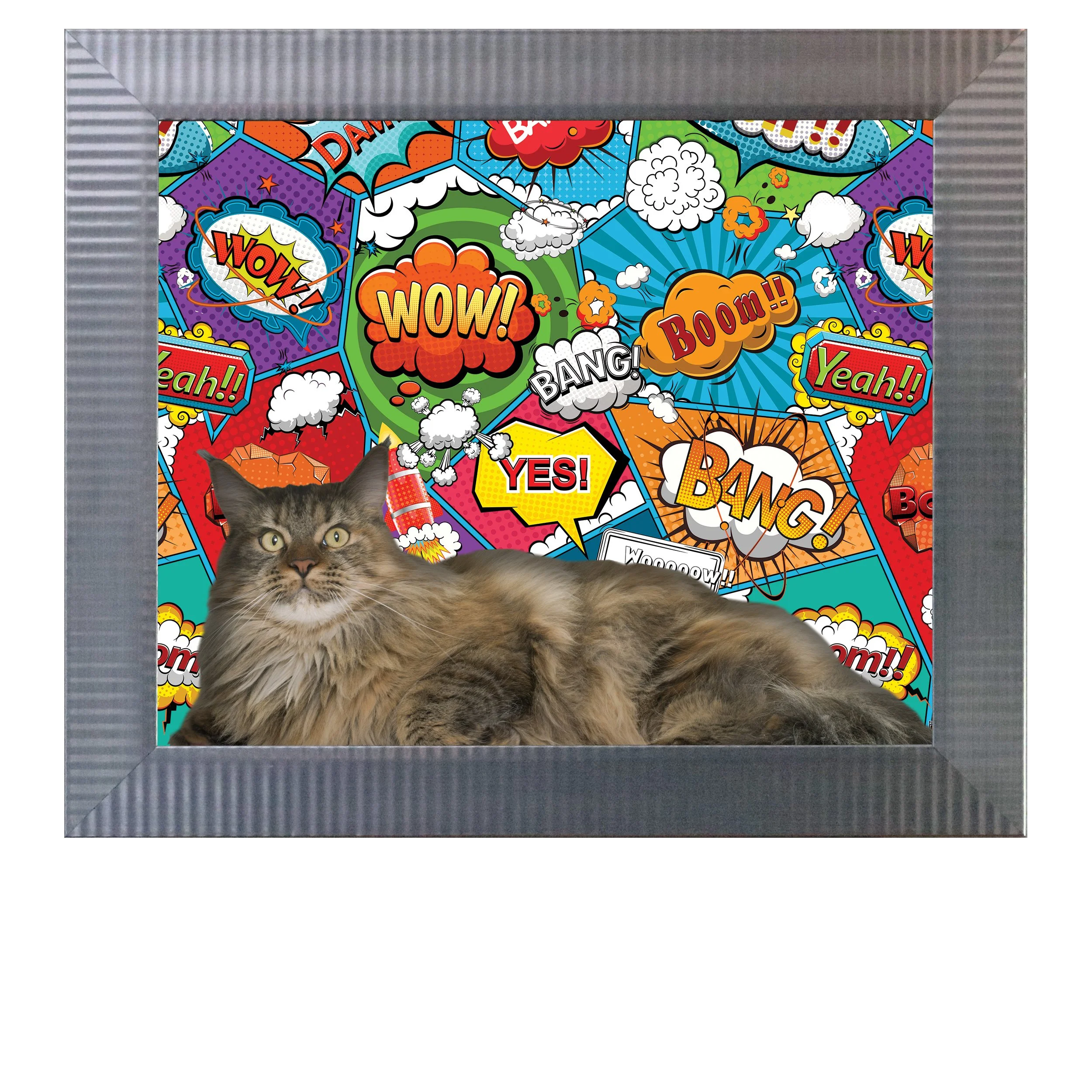 Kitty-Chaos-CAT.jpg